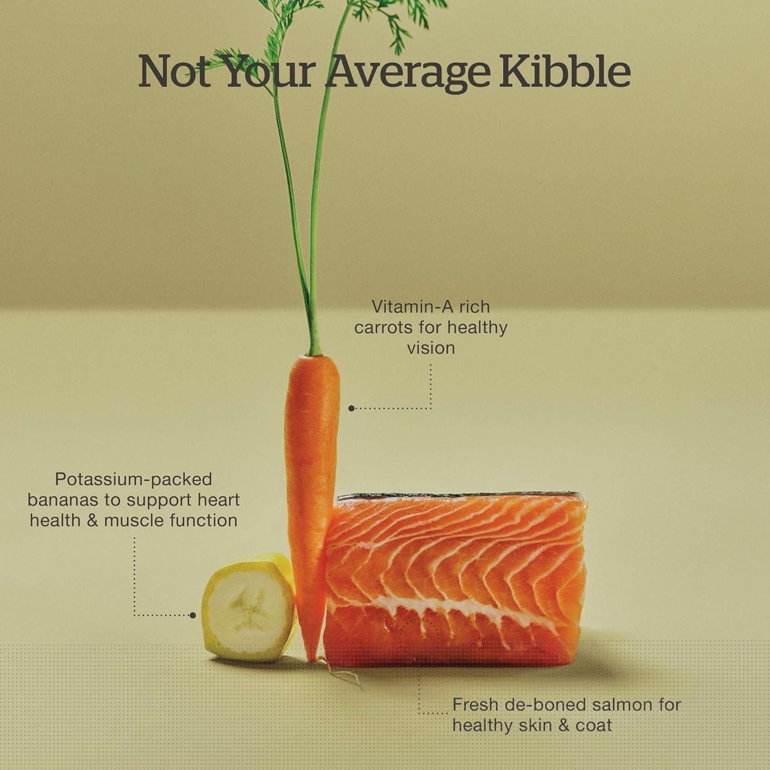Now Fresh grain-free dry cat food with salmon kibble in a 3 lb bag, healthy and nutritious for cats
