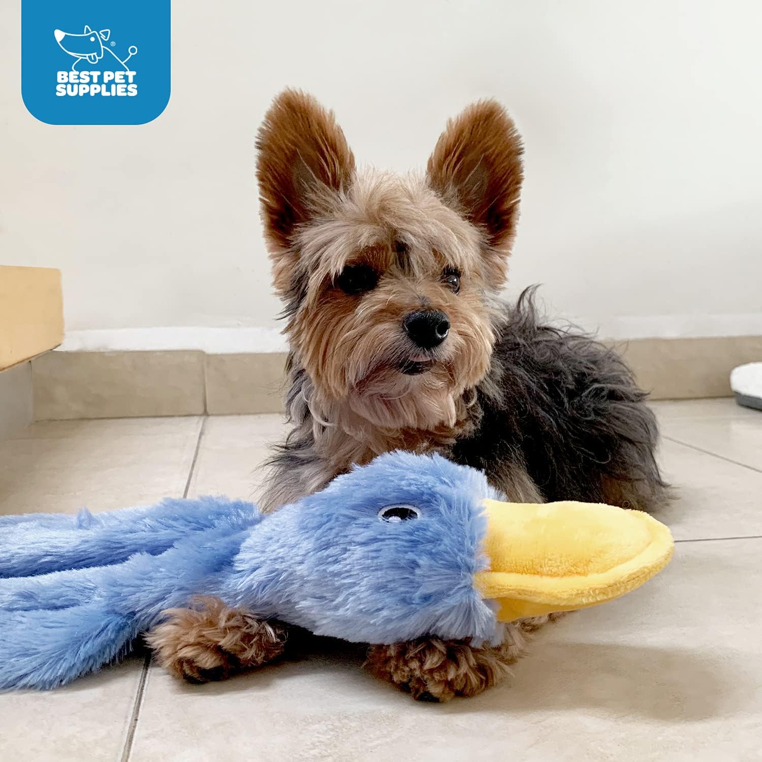Interactive squeaky dog chew toy by Best Pet Supplies, durable toy designed for aggressive chewers and fun play.