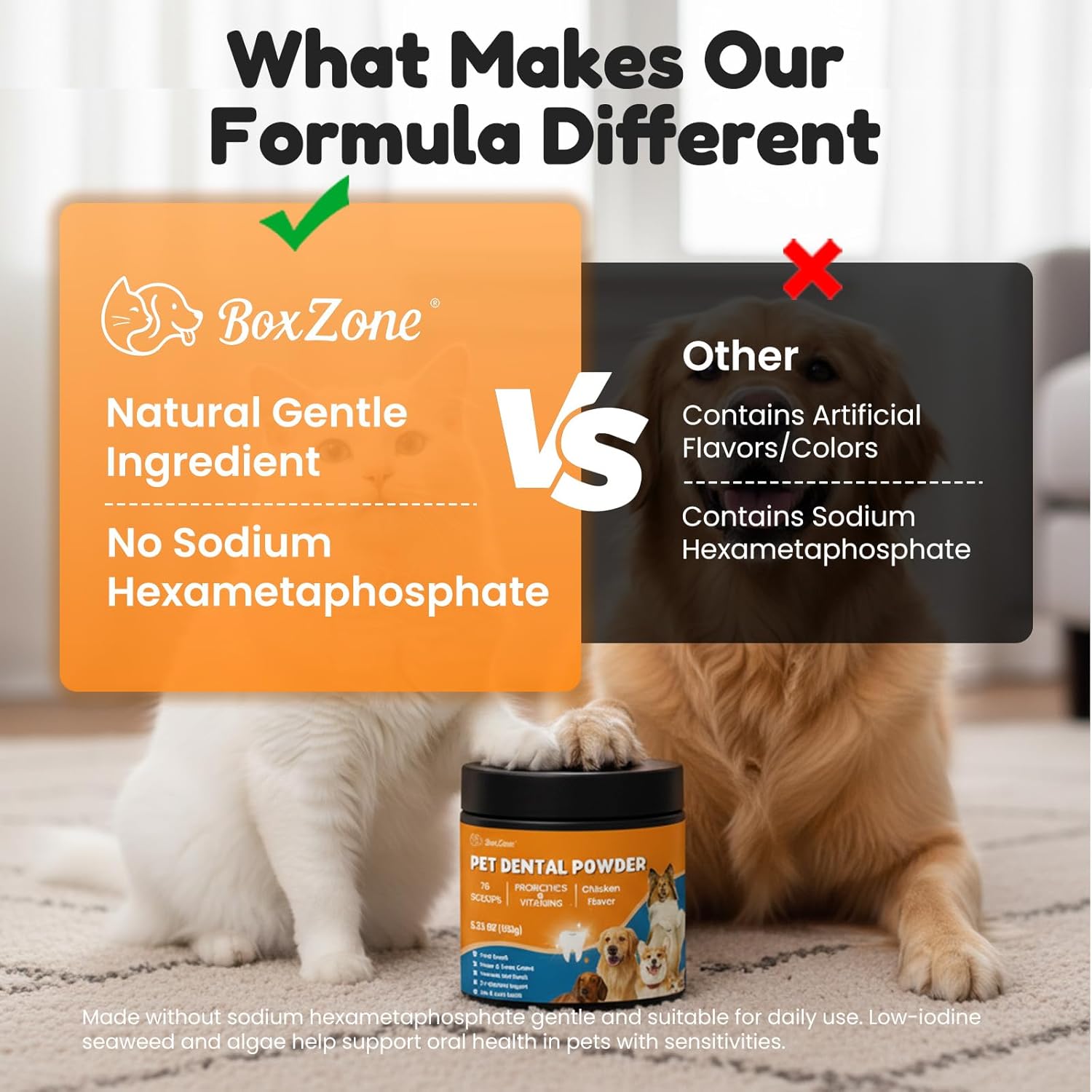 BoxZone dog teeth cleaning powder for plaque and tartar control, freshens breath, shown in a white container with blue accents.
