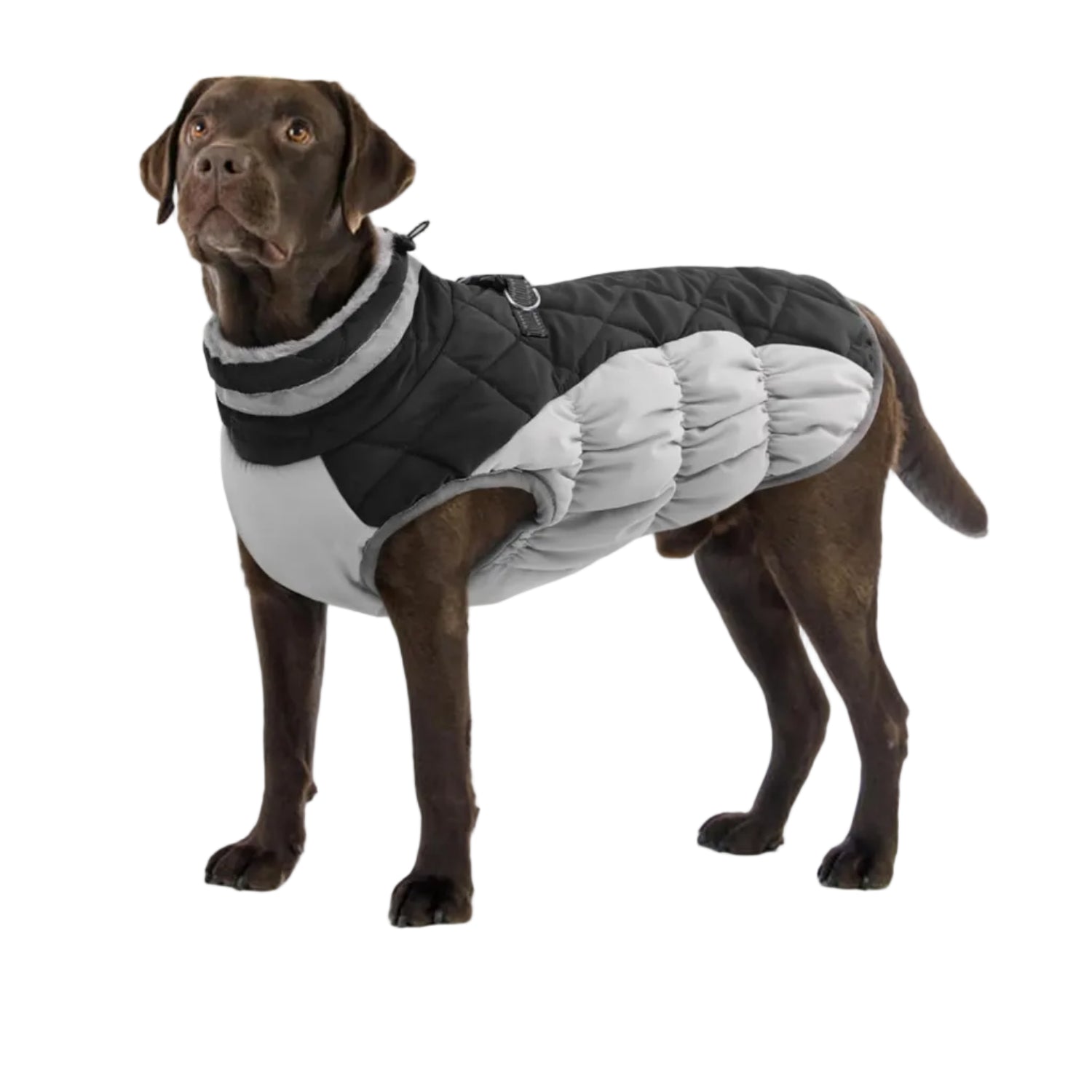 OUOBOB Dog Coats for Large Dogs,XL Dog Coat,Warm Fleece Winter Coat