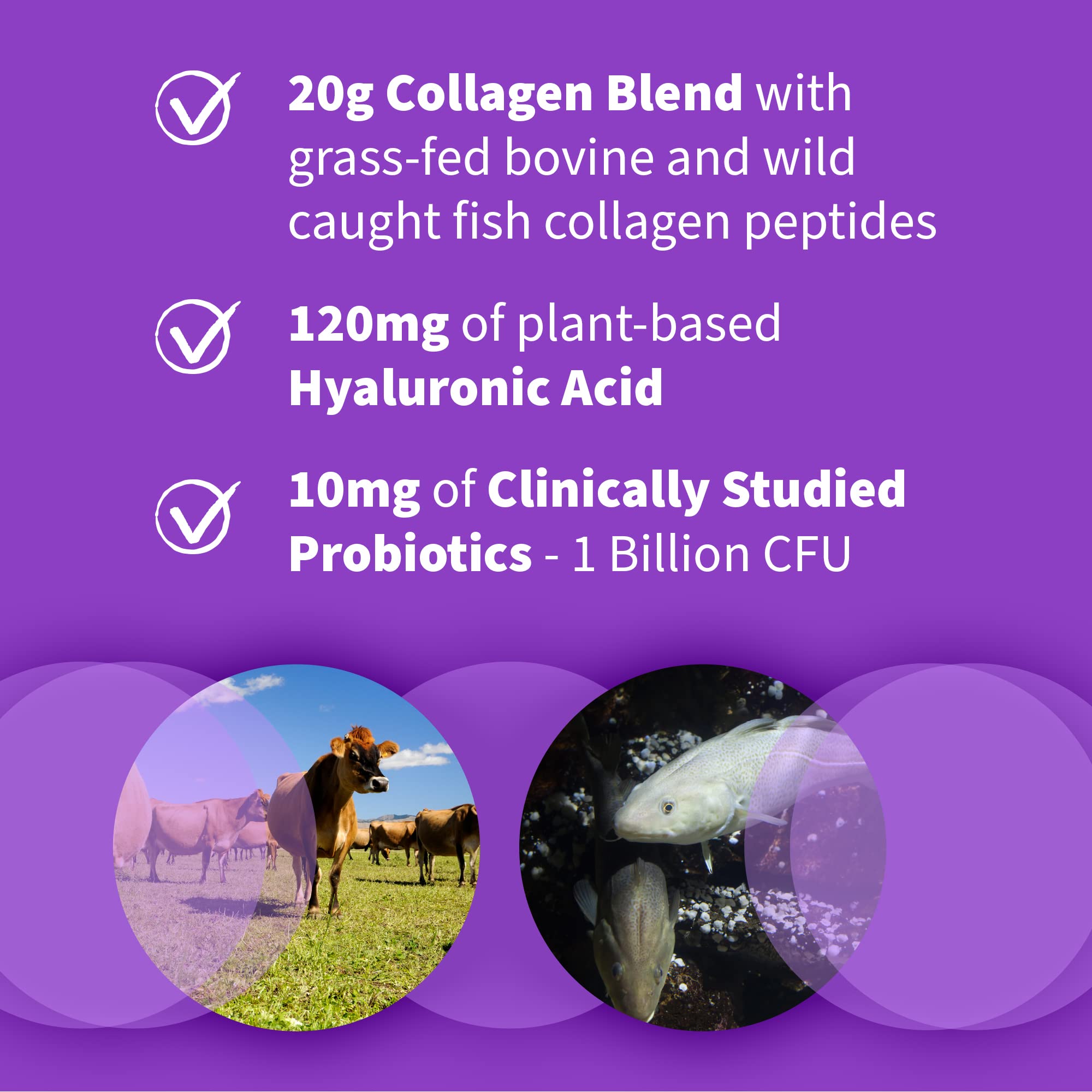 Garden of Life Multi Source Collagen Powder Hyaluronic Acid - Garden of Life Official Imagery - 6