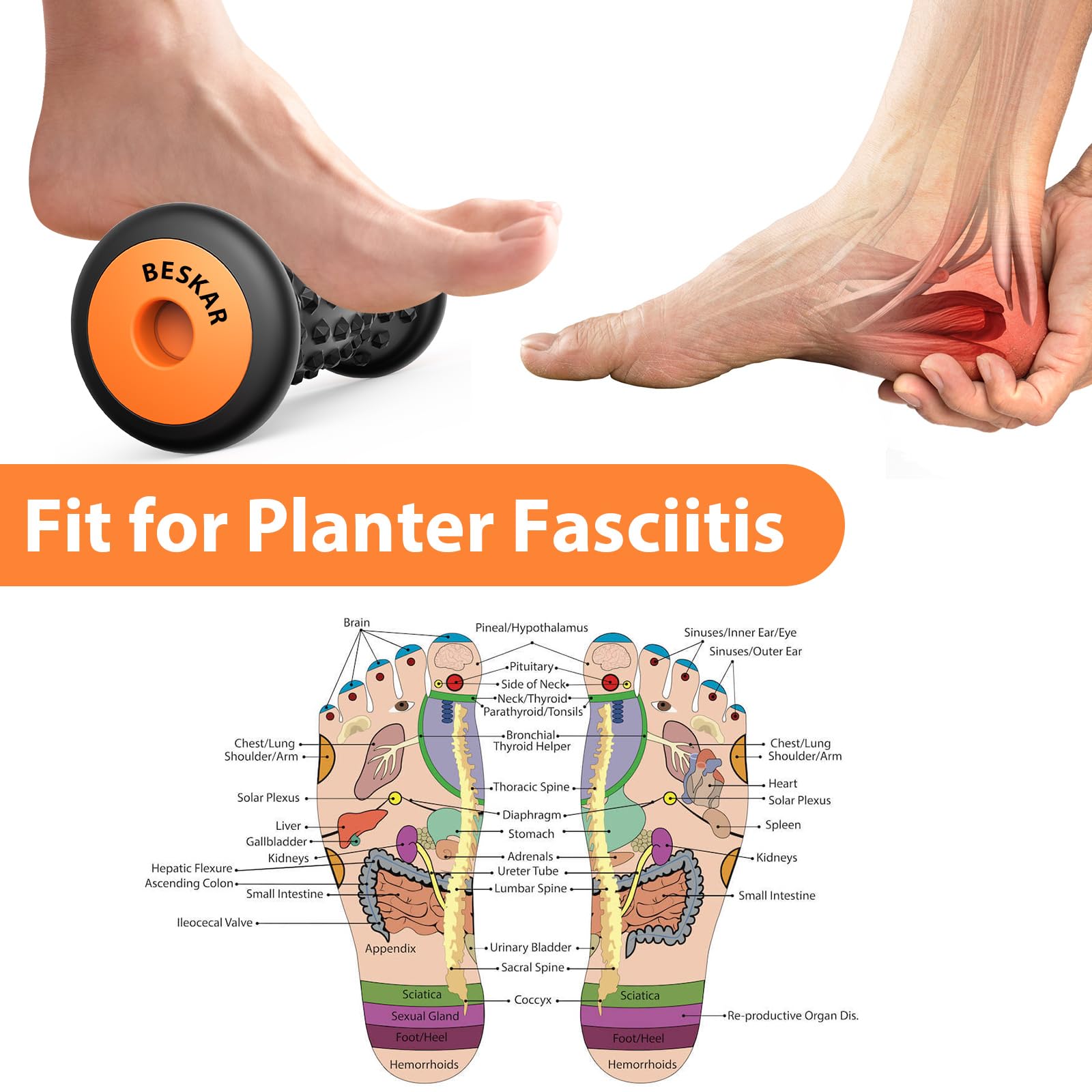 BESKAR Foot Massager Roller for Plantar Fasciitis Relief by BESKAR - Angle View 3