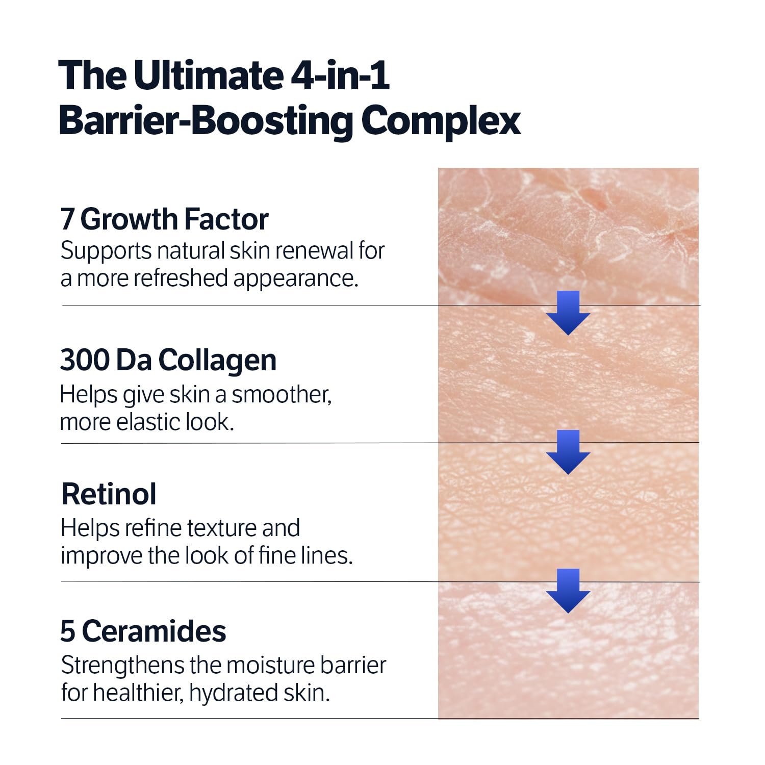SUNGBOON EDITOR Deep Collagen 7GF Night Cream for Face Neck - SUNGBOON EDITOR Official Imagery - 6
