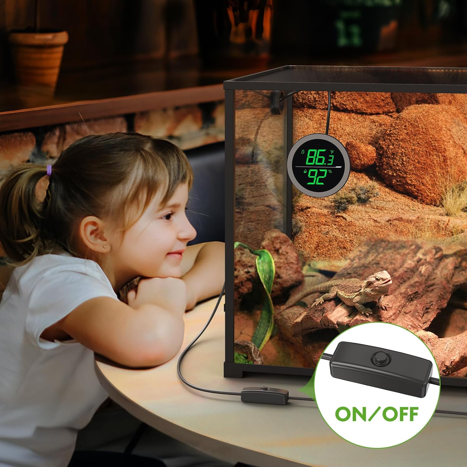 PAIZOO LED digital reptile thermometer and humidity gauge hygrometer displaying temperature and humidity levels on a screen.