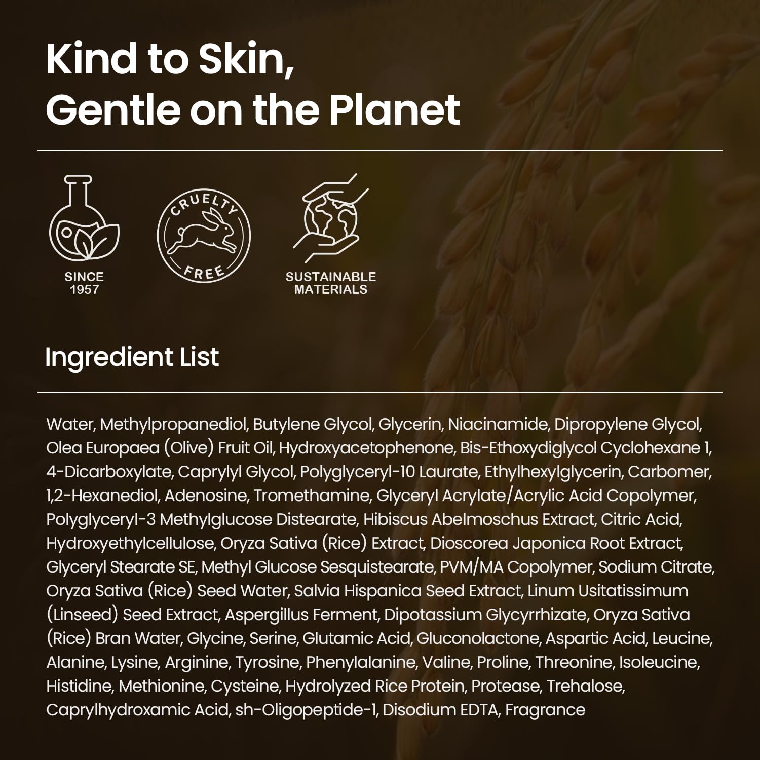 SKINFOOD Rice Daily Mask 30 Sheets, Korean Quick & Easy Daily Care Hacks, Large Capacity, Sheet Mask - SKINFOOD 1957 Official Product View 10