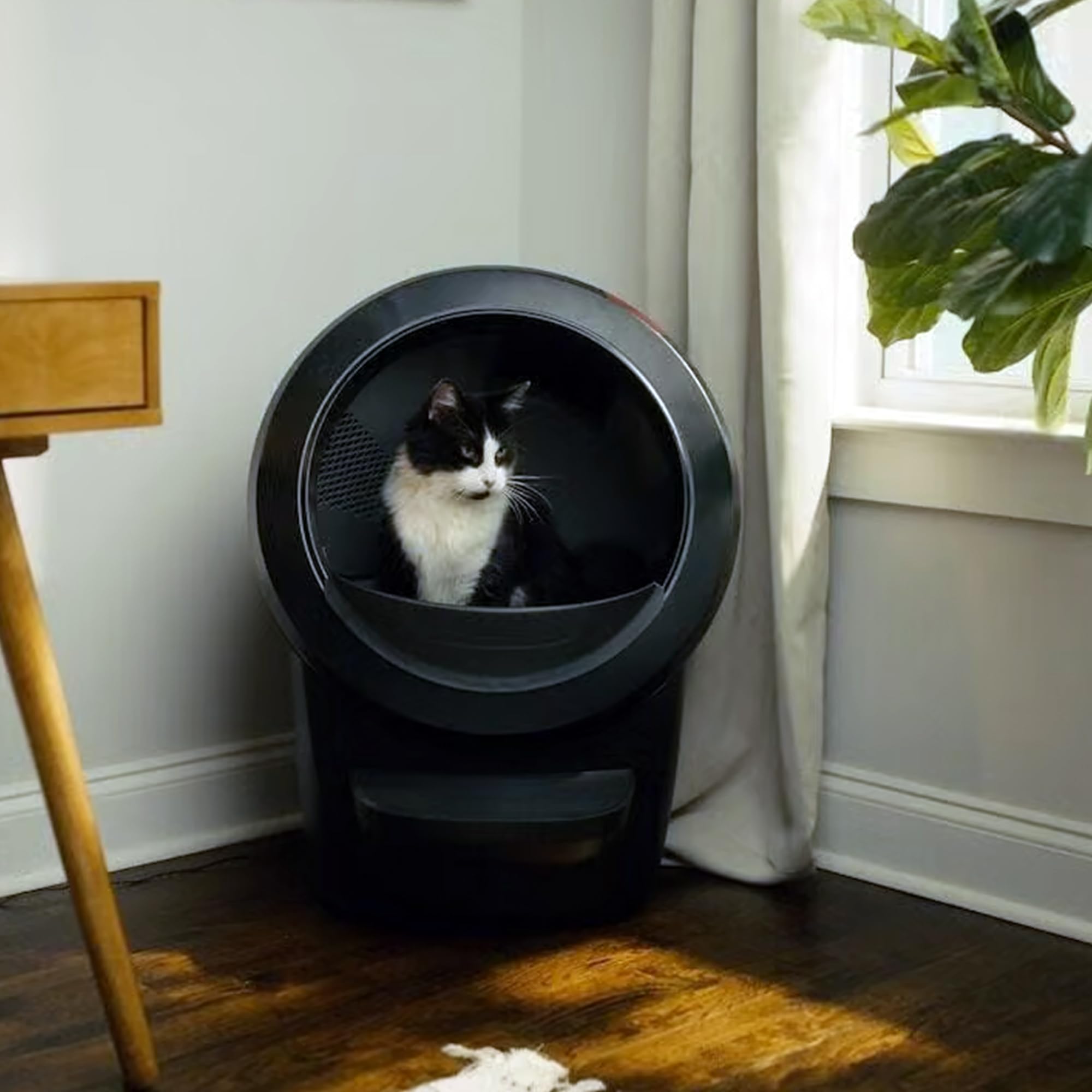 Litter-Robot 4 with Step & Fence by Whisker, Black - Automatic - Whisker Official Product View 7