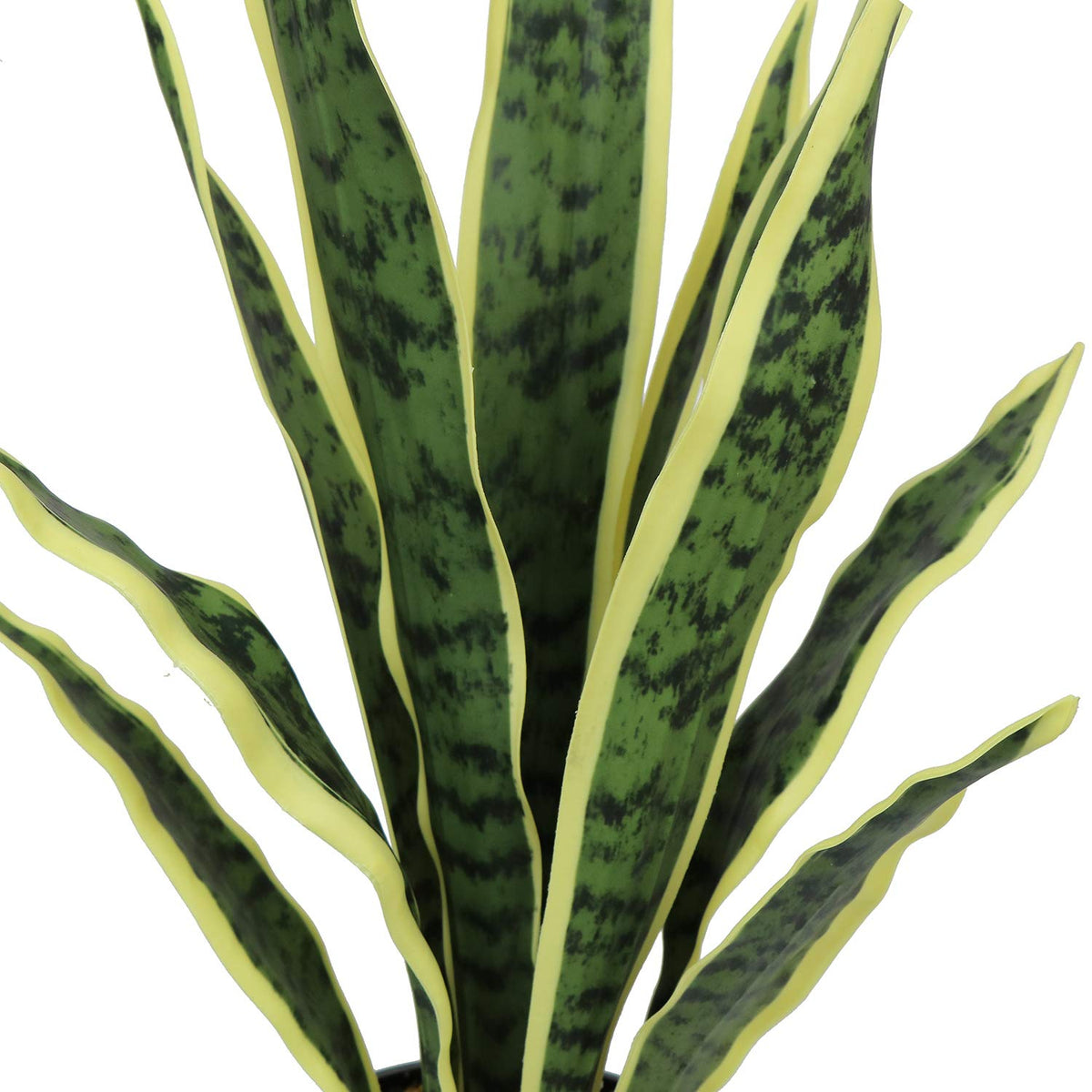 Ollain Artificial Snake Plant with Potted 23 6 Fake Plastic - Ollain Official Imagery - 6