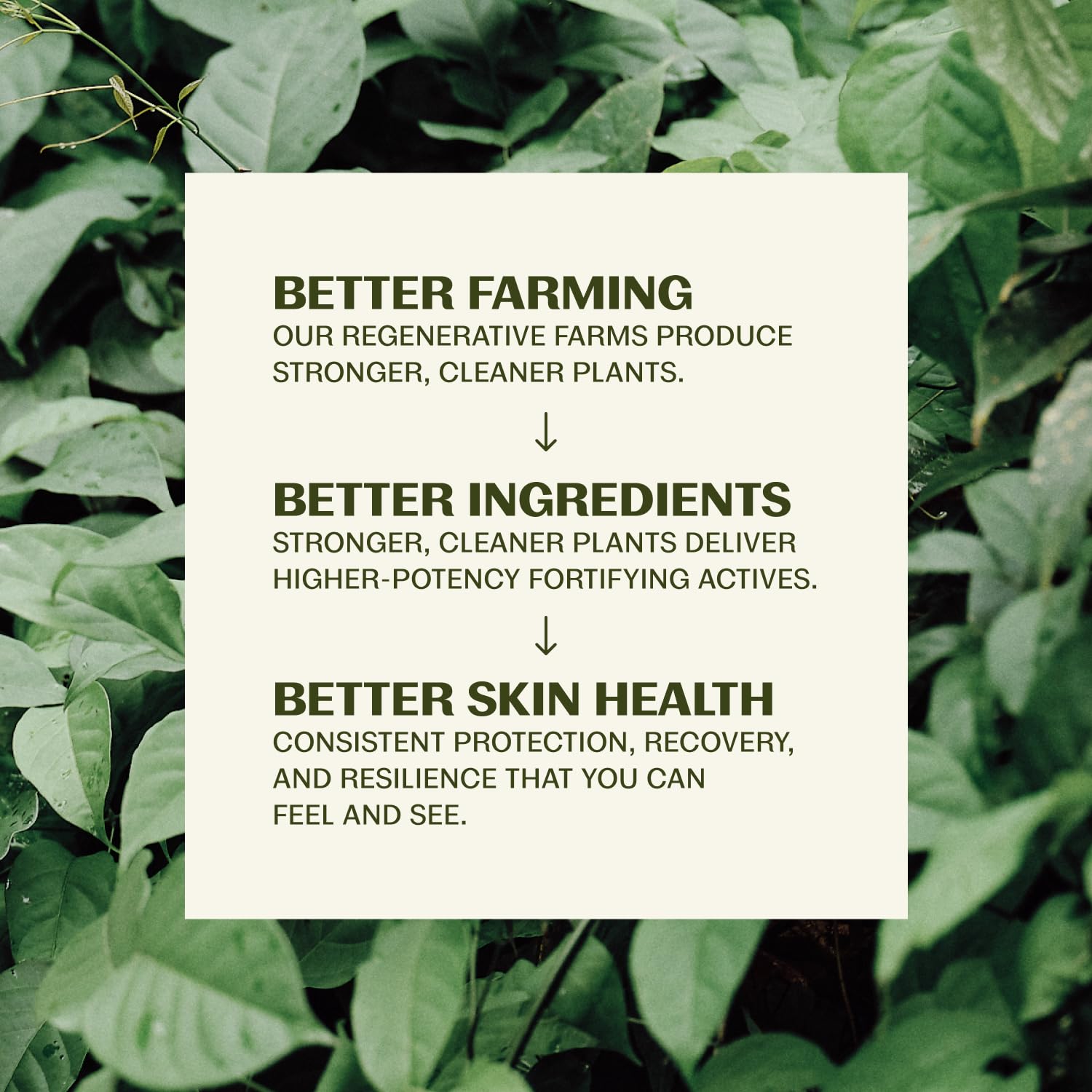 Thrive Natural Care Face Scrub - Gentle Exfoliating Face Wash Provides - Thrive Natural Care Official Product View 5
