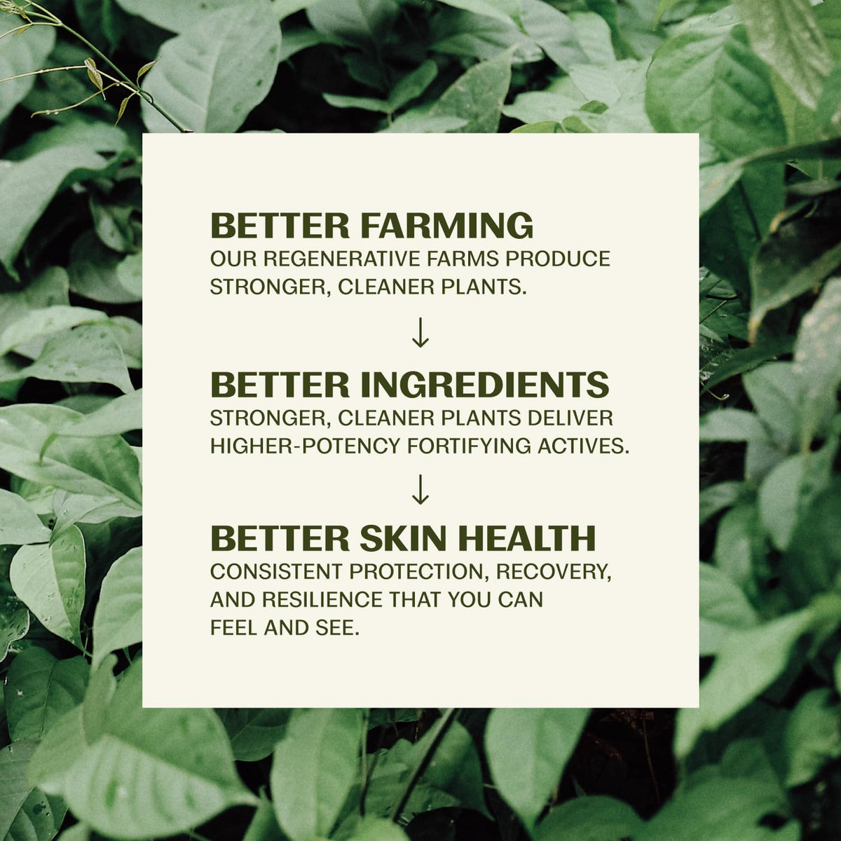 Thrive Natural Care Reef Safe Sunscreen SPF50 - Thrive Natural Care Official Imagery - 7