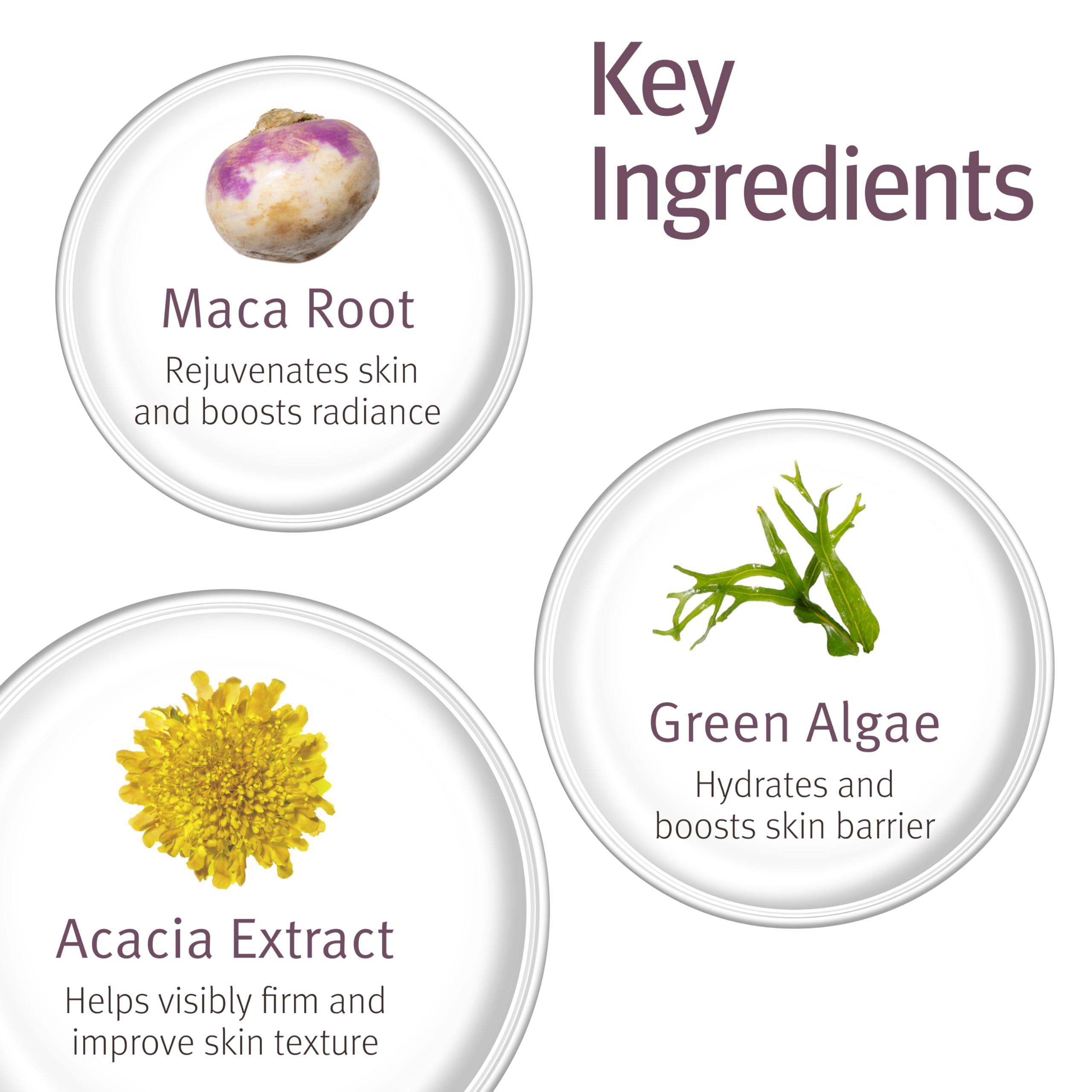 Elefair Tech Epionce Intensive Nourishing Cream Anti - Aging Face Neck Wrinkle - Elefair Tech Official Product View 6