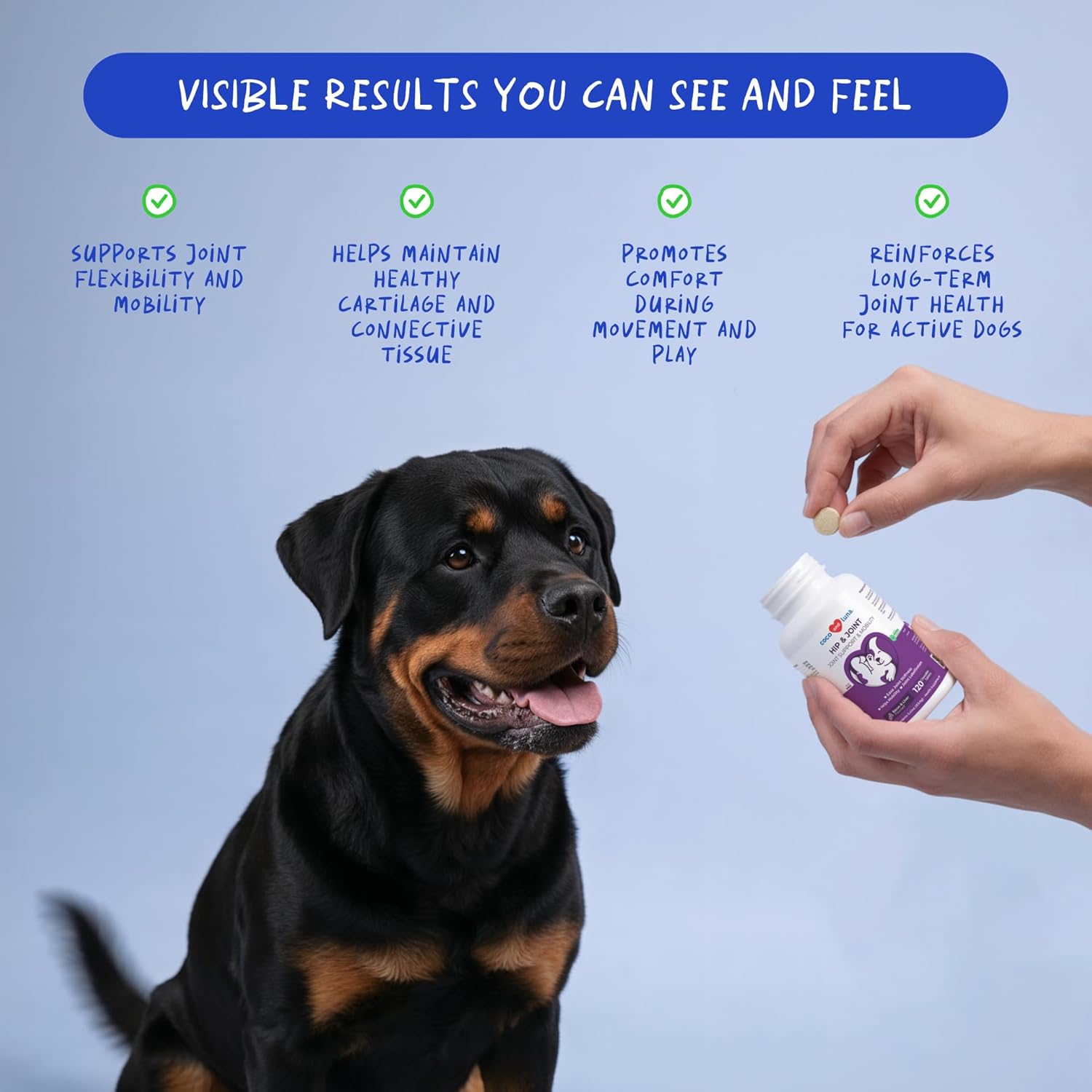 Coco and Luna dog hip and joint supplement with glucosamine, showing a bottle of joint support supplement for dogs.