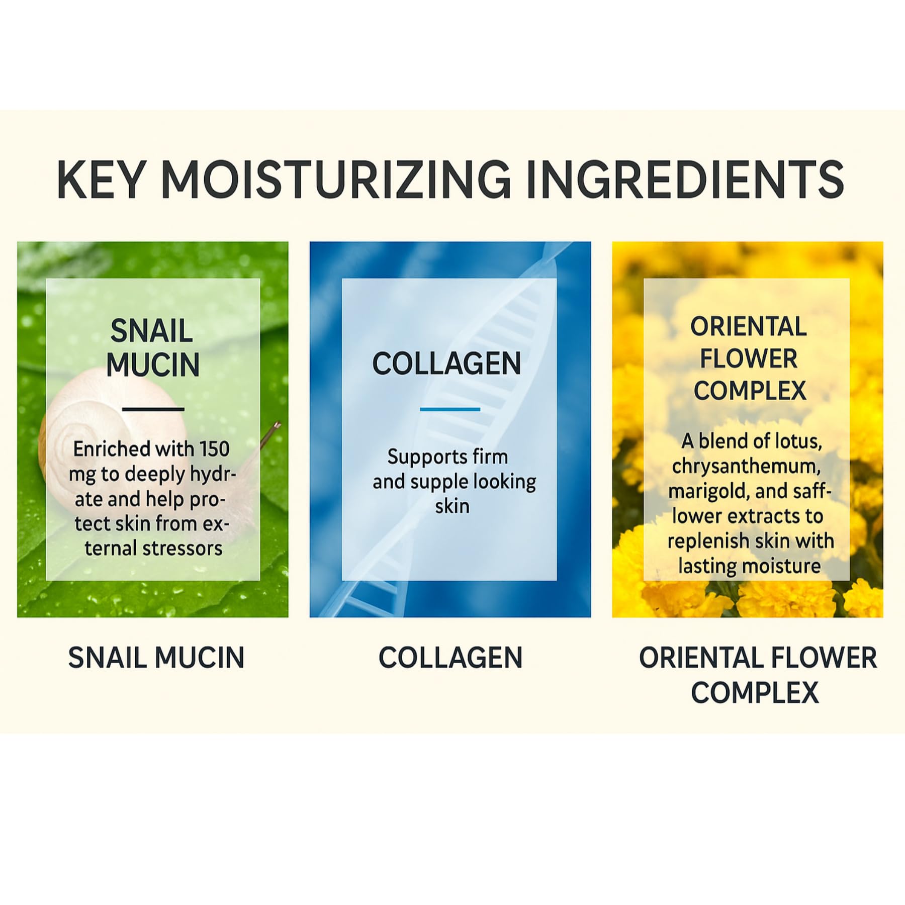 Premium Snail Mucin Cream 50ml - GASHINA STORY
