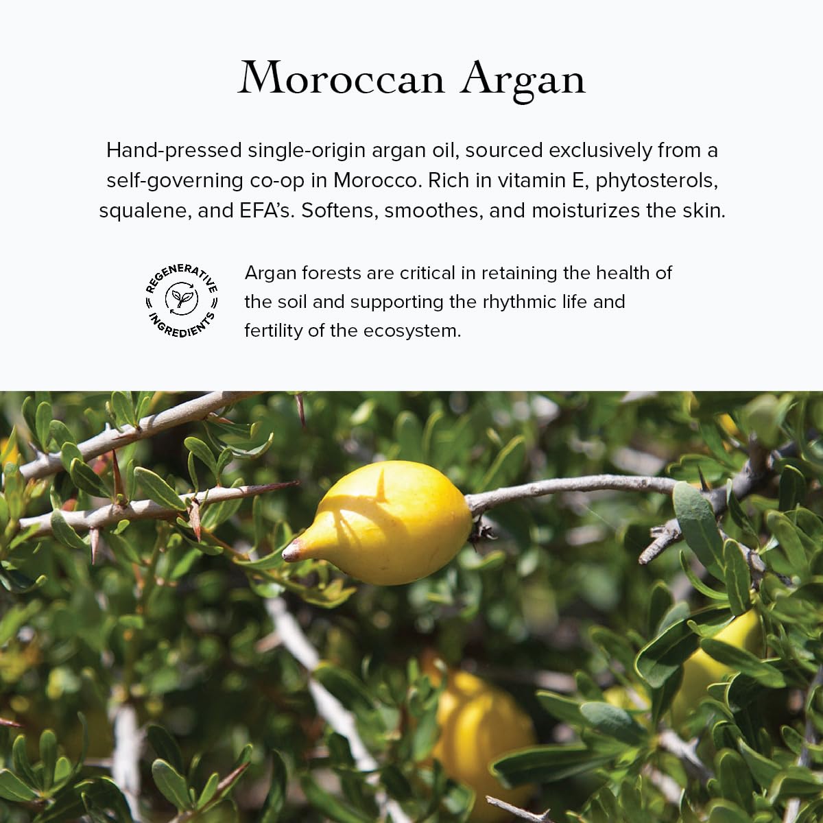 evanhealy Argan Intensive Serum - Handcrafted Argan Oil with Organic Ess - evanhealy Official Product View 7