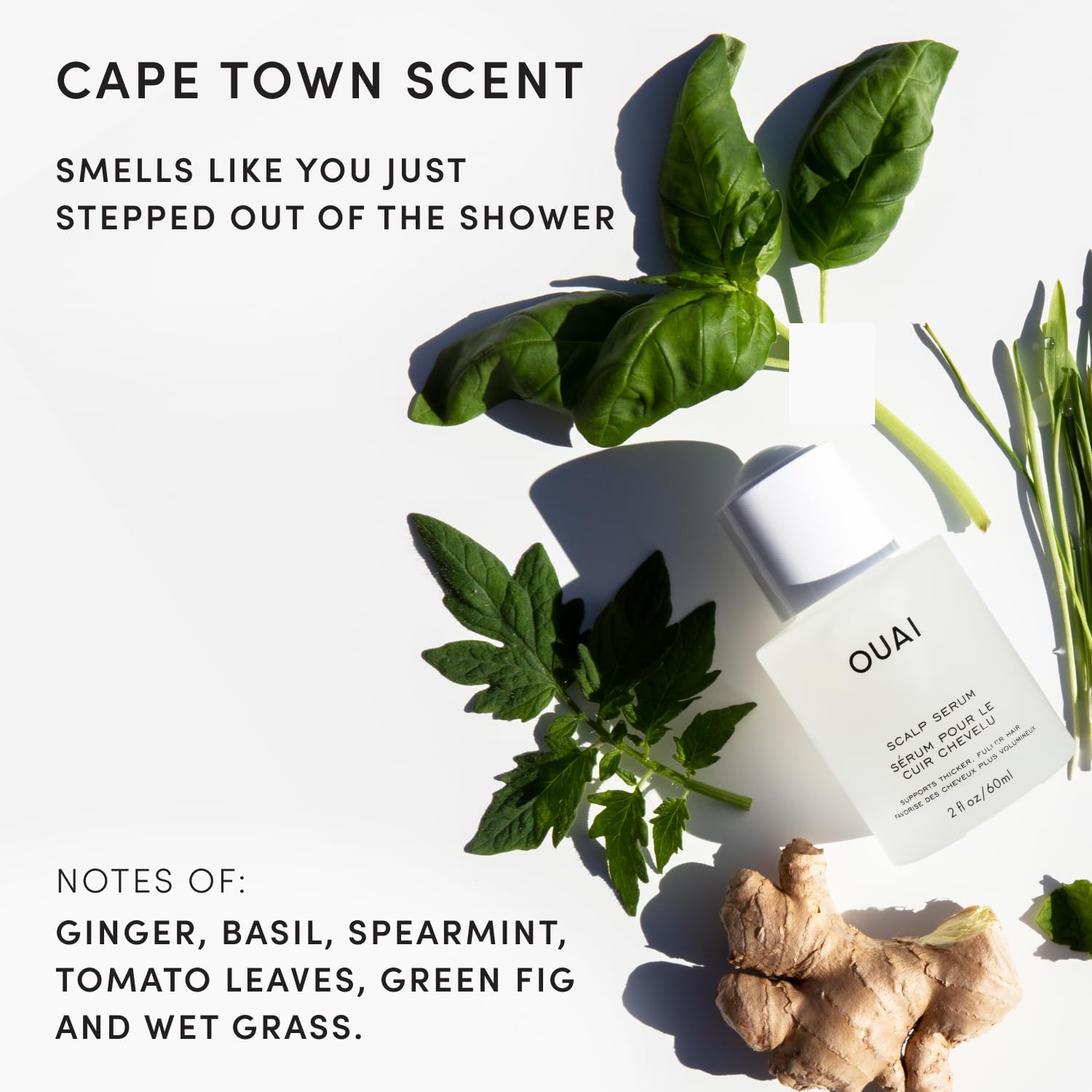 OUAI Scalp Serum - Balancing Hair Serum - OUAI Official Product View 7
