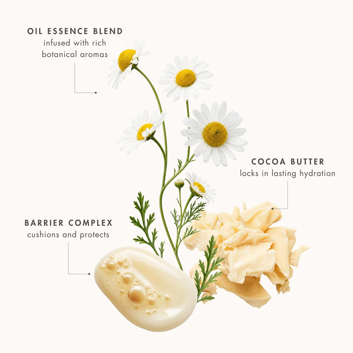 EVE LOM The Original Balm Cleanser - Premium Selection Official Imagery - 6