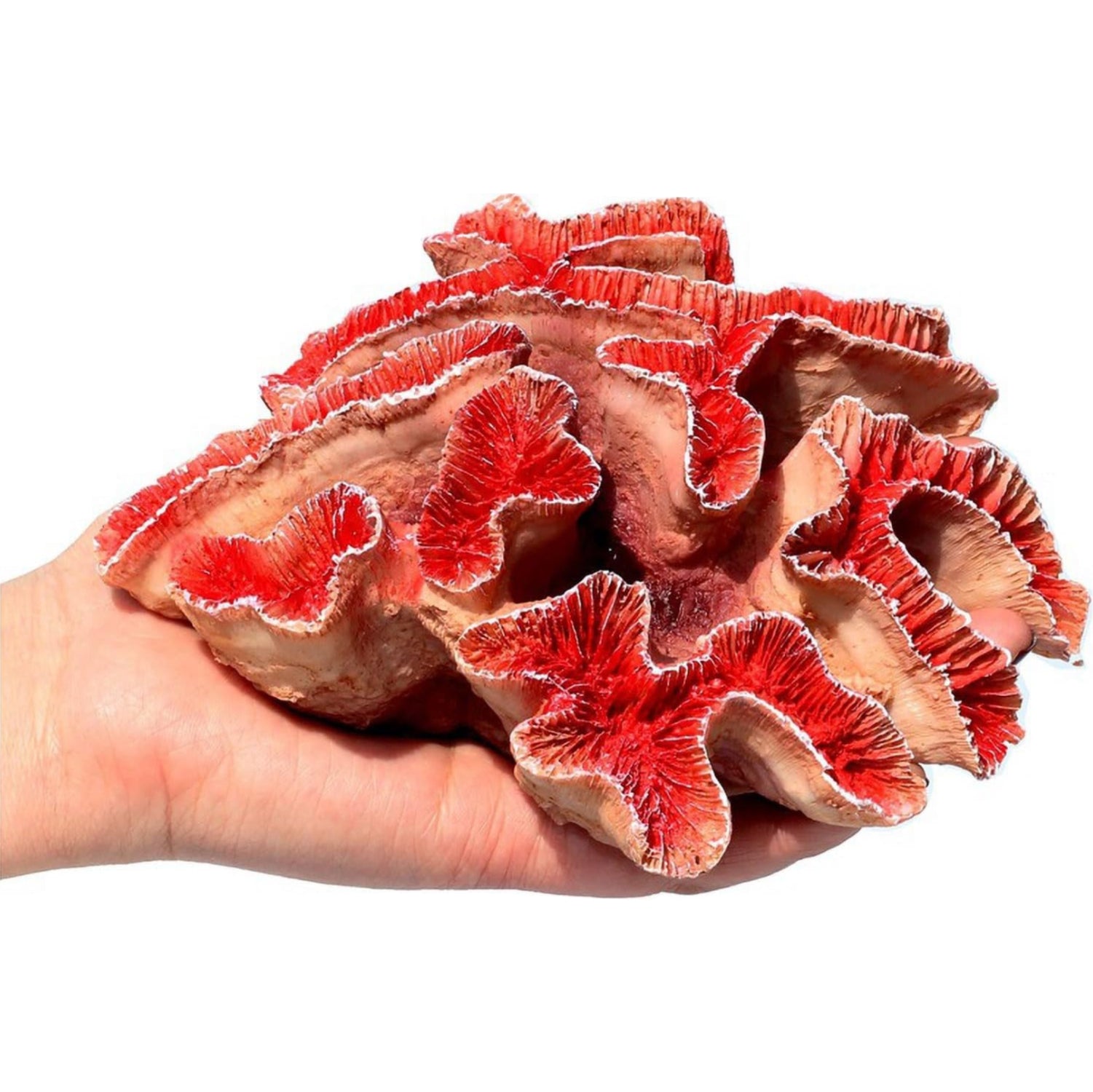 Red Besimple Aquarium coral ornament decor for fish tanks, featuring vibrant coral shapes and artificial plants for aquatic landscapes.