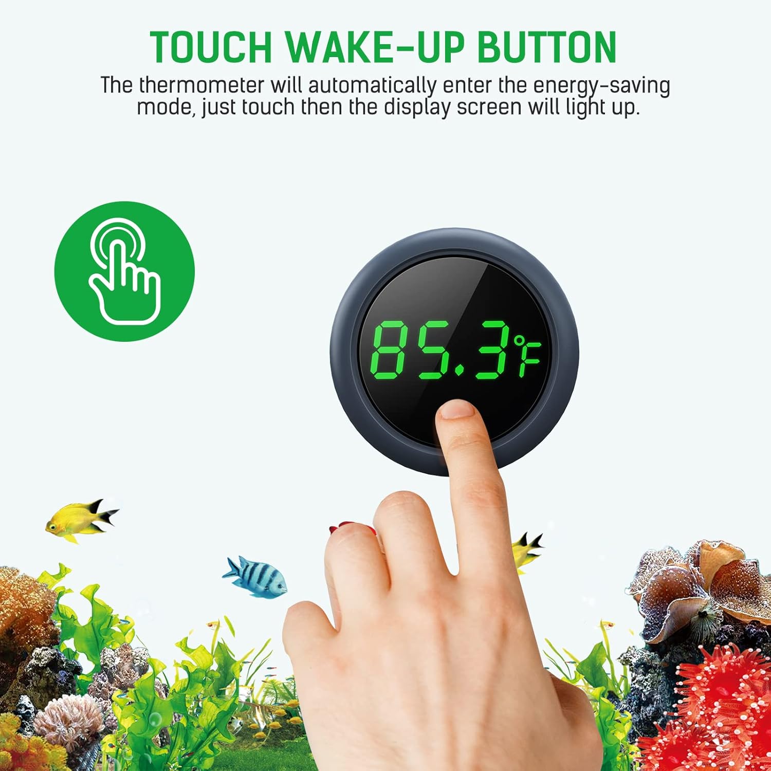 PAIZOO digital fish tank thermometer with LED display showing water temperature in Fahrenheit, accurate to ±0.9°F.