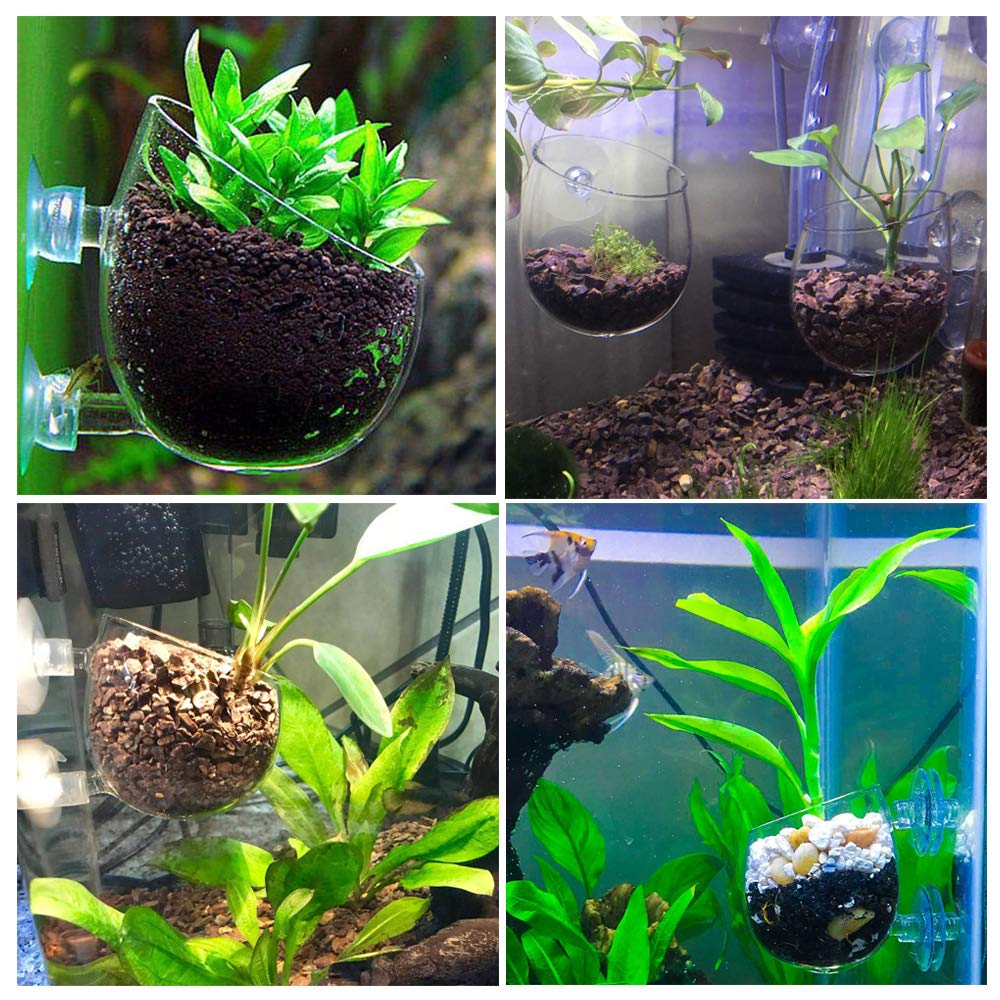 capetsma 4X Crystal Glass Aquarium Plant Pot Aquarium - capetsma Official Imagery - 3