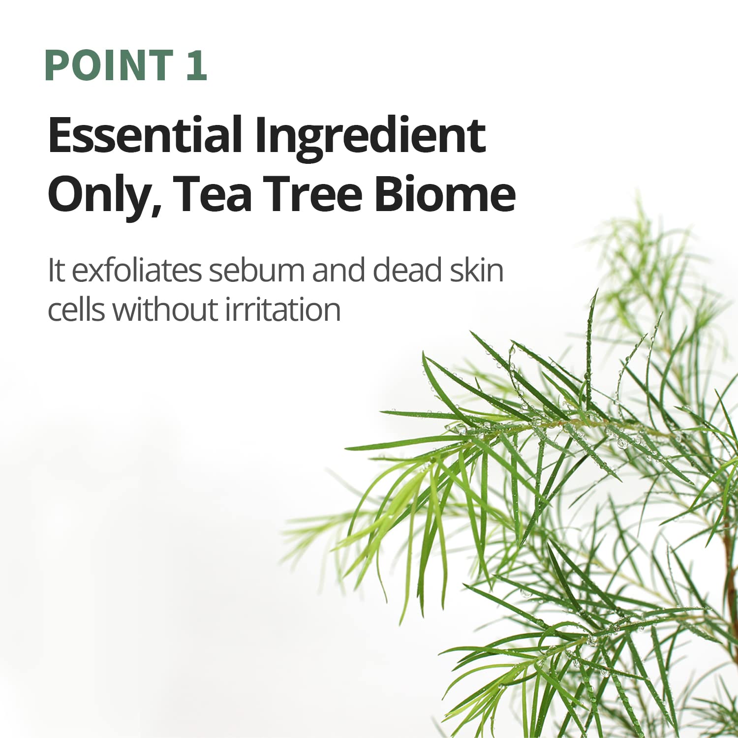 FARMSTAY Tea Tree Biome Calming Toner Pad - FARMSTAY