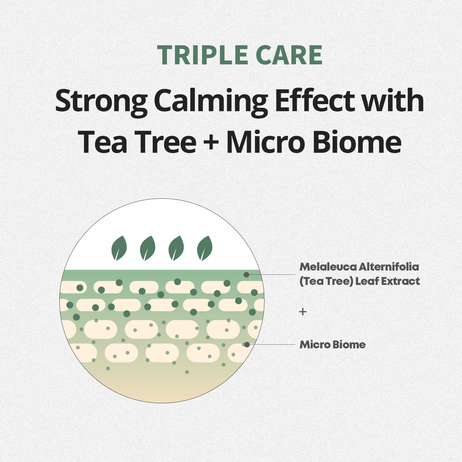 FARMSTAY Tea Tree Biome Calming Toner Pad - FARMSTAY