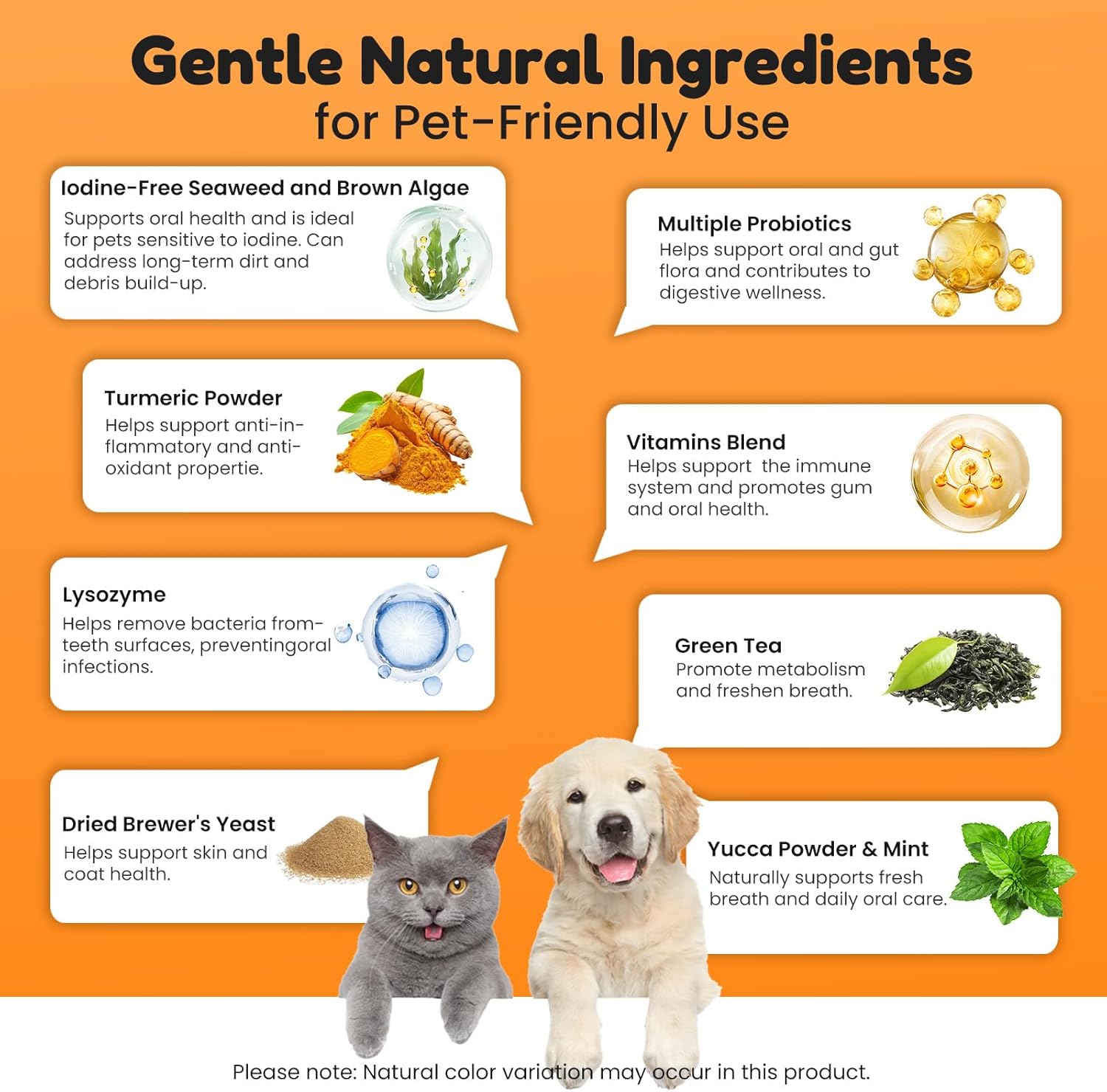 BoxZone dog teeth cleaning powder with plaque and tartar control, freshening breath and promoting oral health for pets.