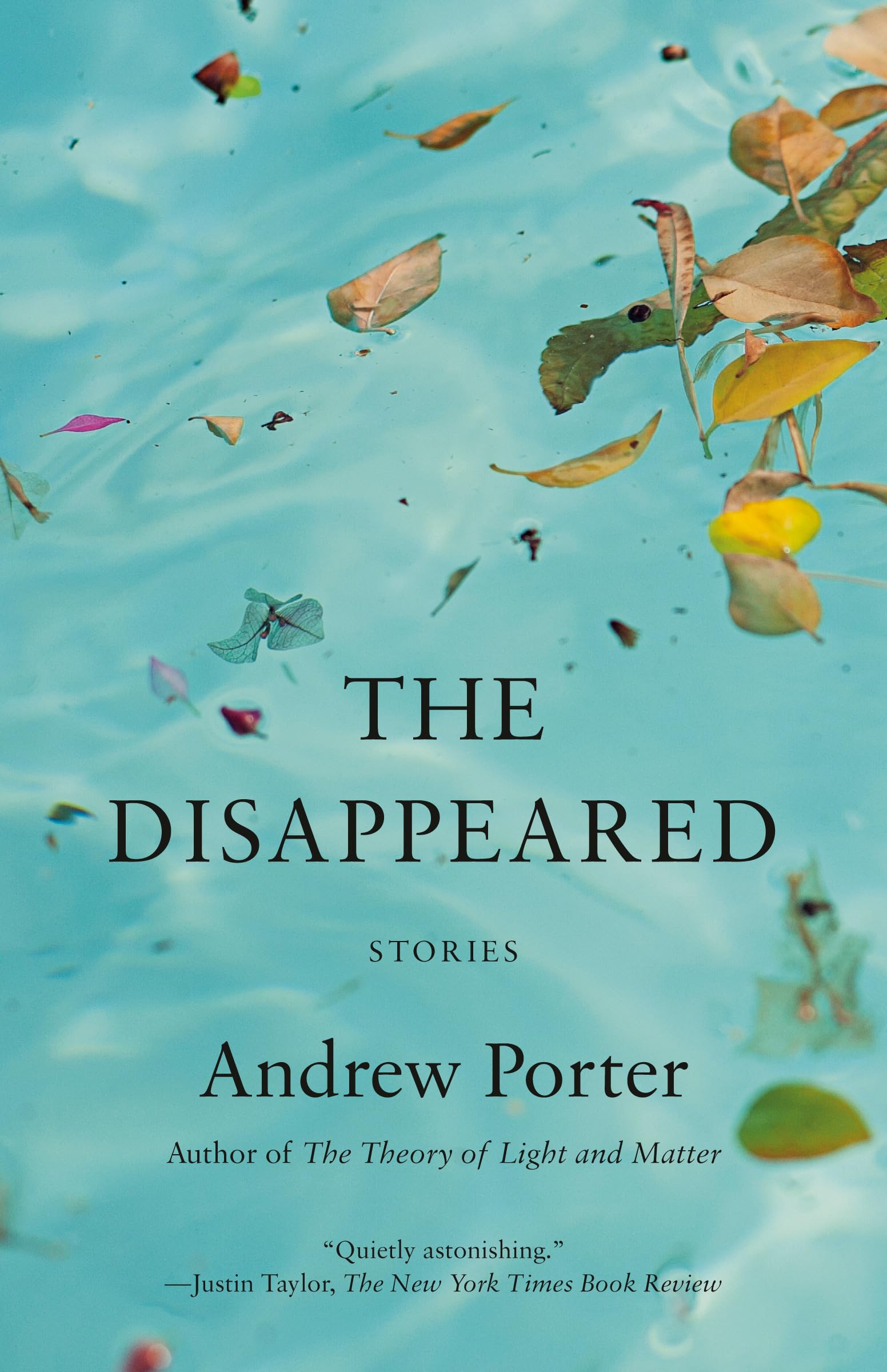 The Disappeared: Stories - Product Imagery