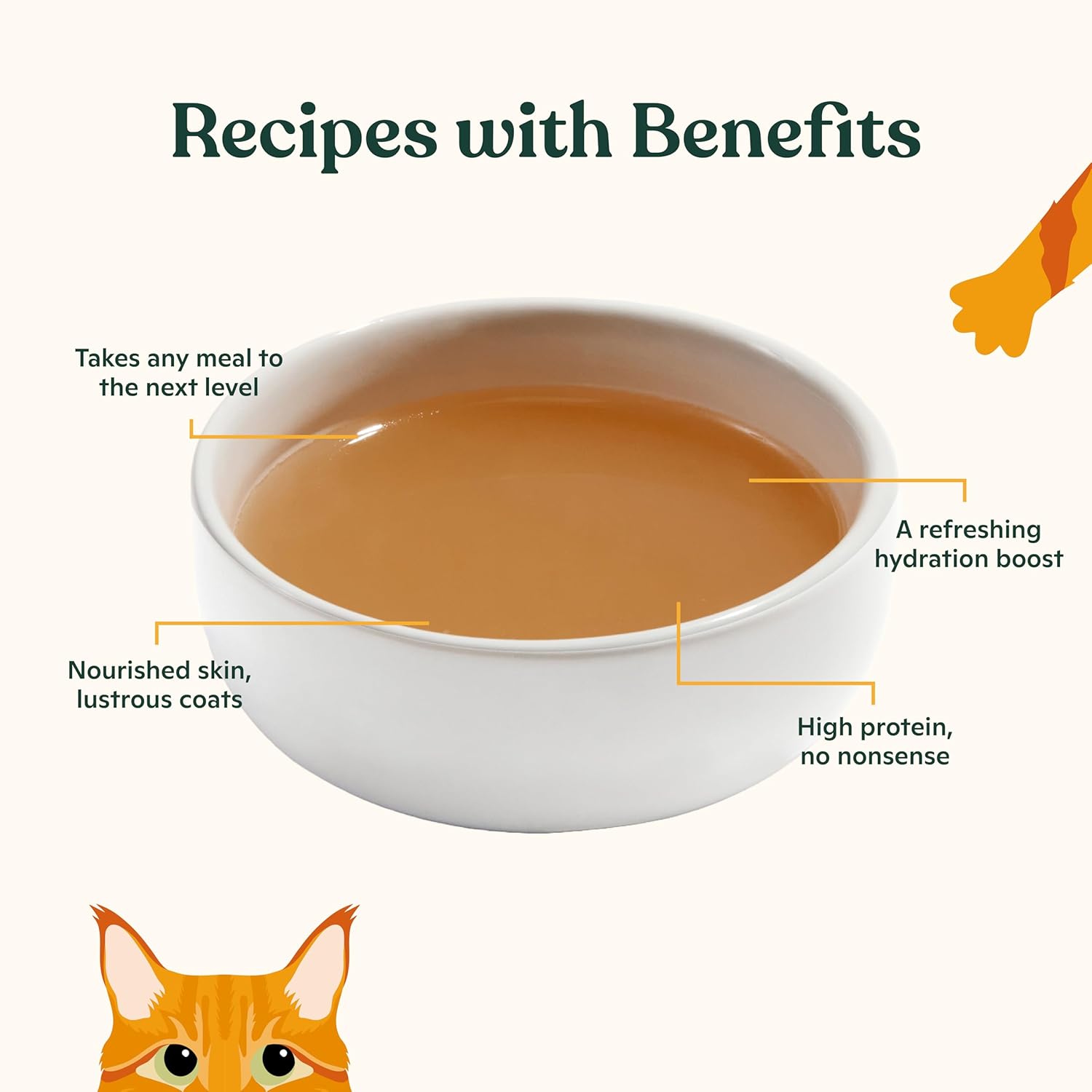 Made by Nacho Bone Broth Cat Food Topper in a container, designed to promote hydration and appeal to picky cats.