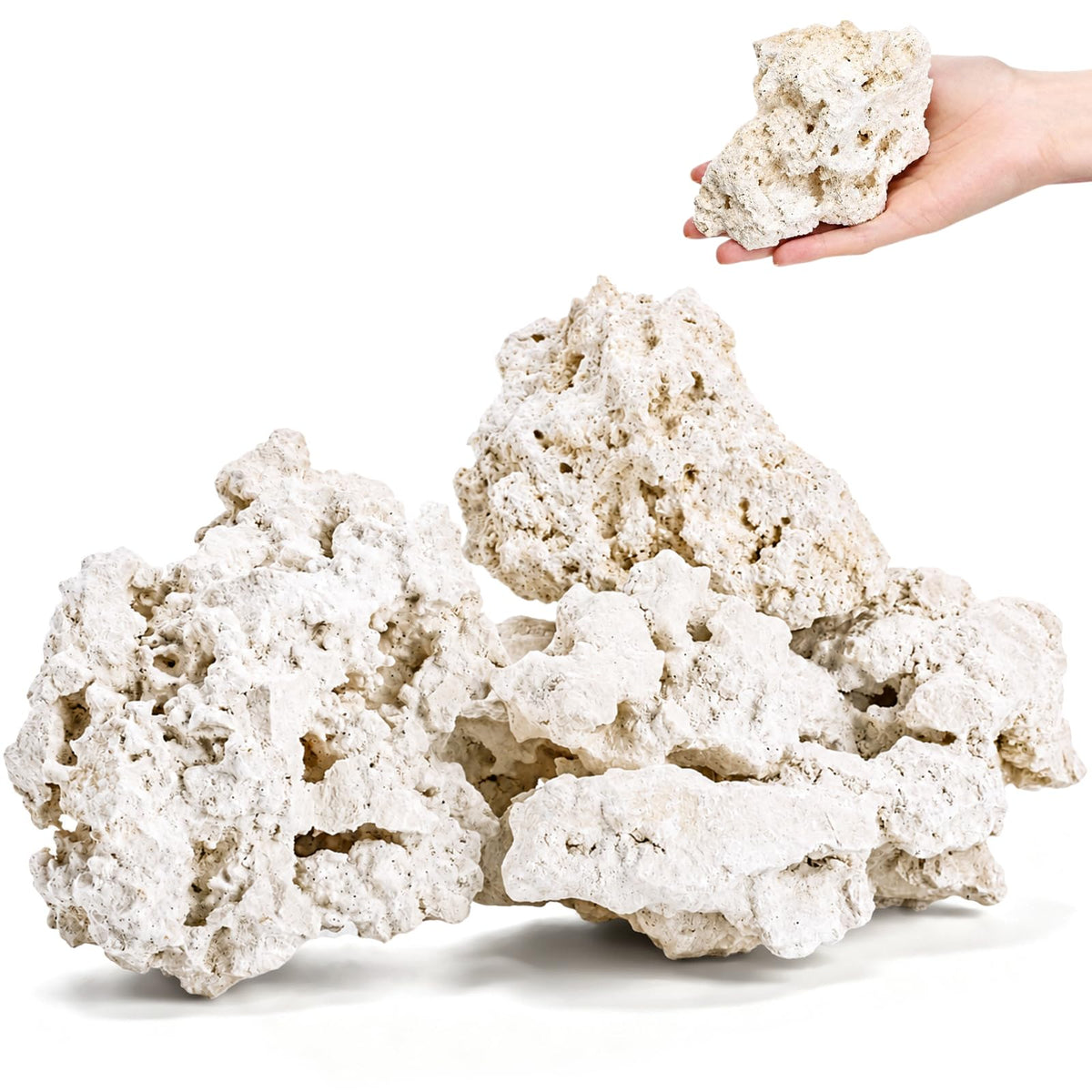 8 lbs Aquarium Holey Rocks White Coral Ornament for - Eorbow Official Imagery - 1