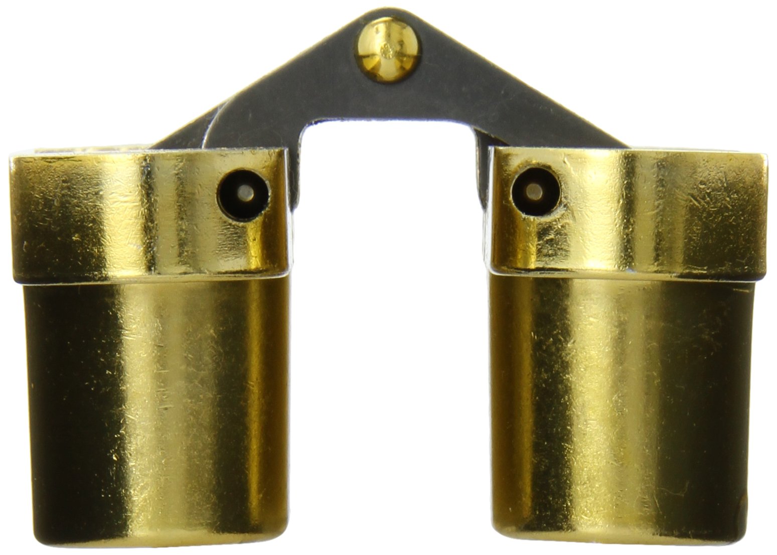 SOSS Model 216 invisible hinge in zinc satin brass finish, 20-minute fire-rated exterior door hardware, showcasing the hinge in use