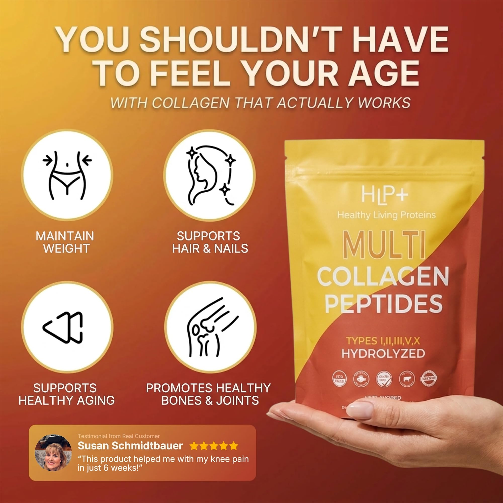 Healthy Living Proteins - HLP Healthy Living Proteins Official Imagery - 5