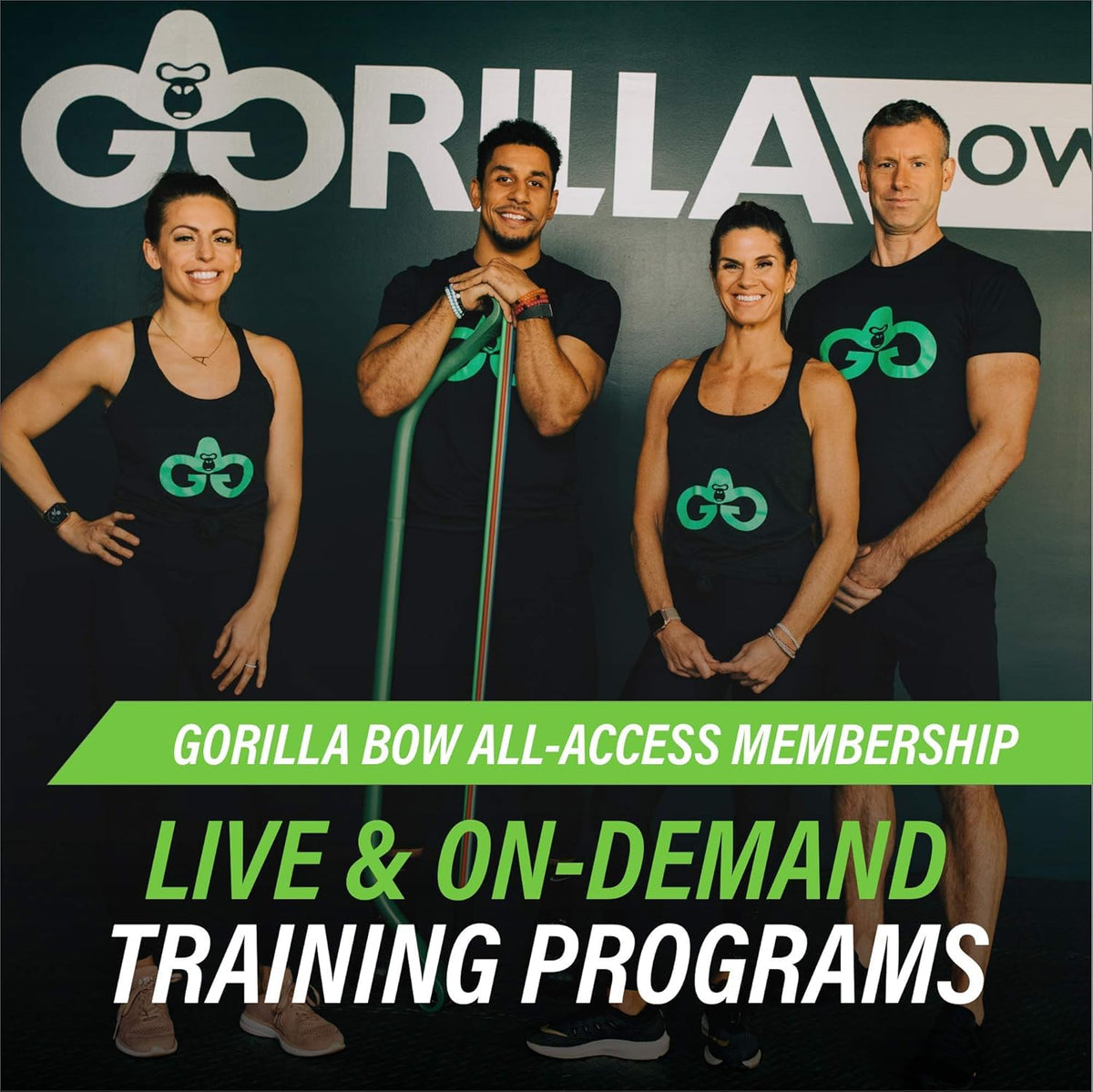 Lite All in One Home Gym System Portable Resistance Band Bar - Gorilla Bow Official Imagery - 3