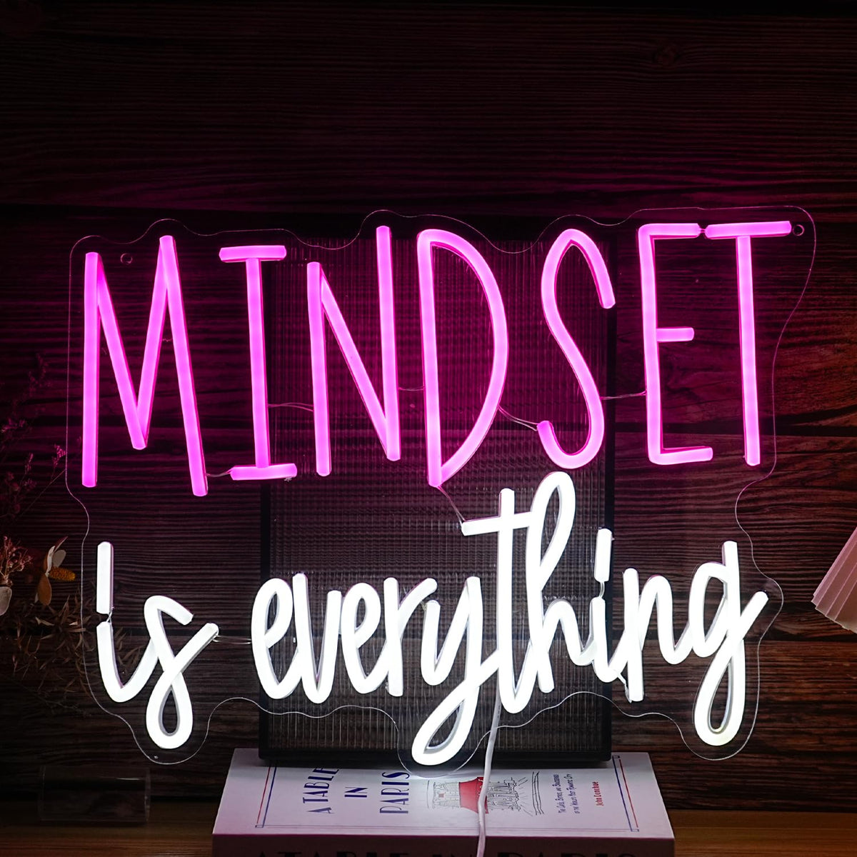 Mindset is Everything Neon Sign Dimmable Inspirational LED - BNEMCEZH Official Imagery - 2