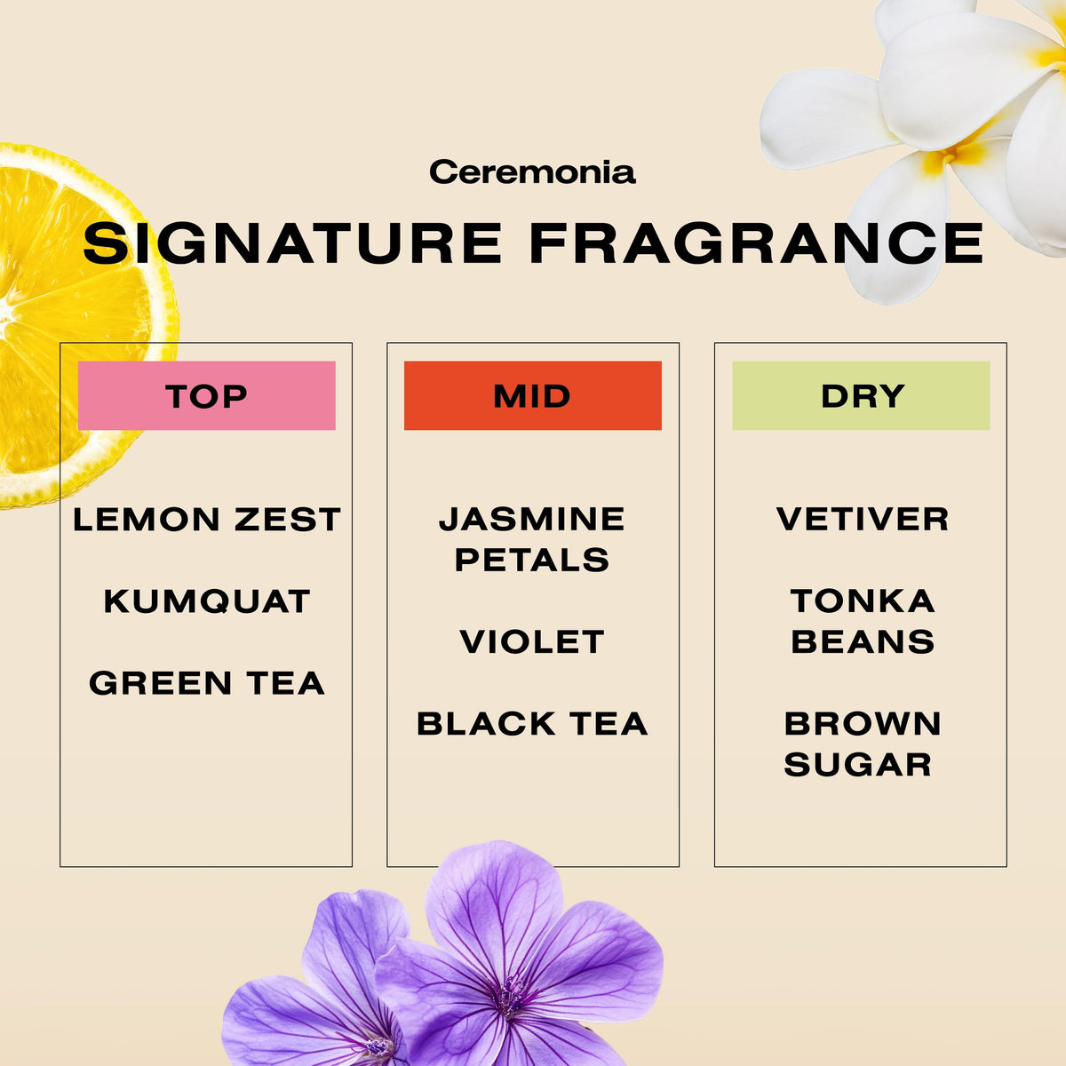 Ceremonia Pequi Styling Gel - Ceremonia Official Imagery - 8