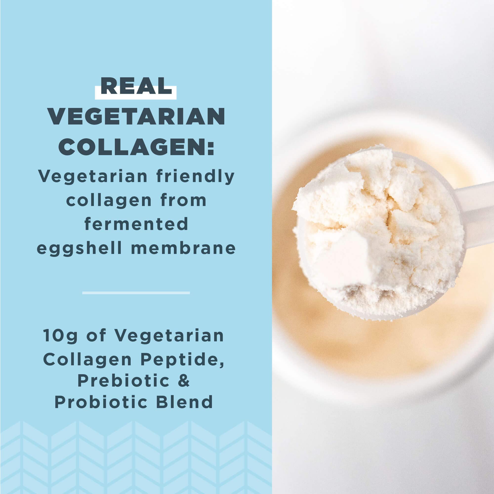 Ancient Nutrition Vegetarian Collagen Peptides Powder - Ancient Nutrition Official Imagery - 3