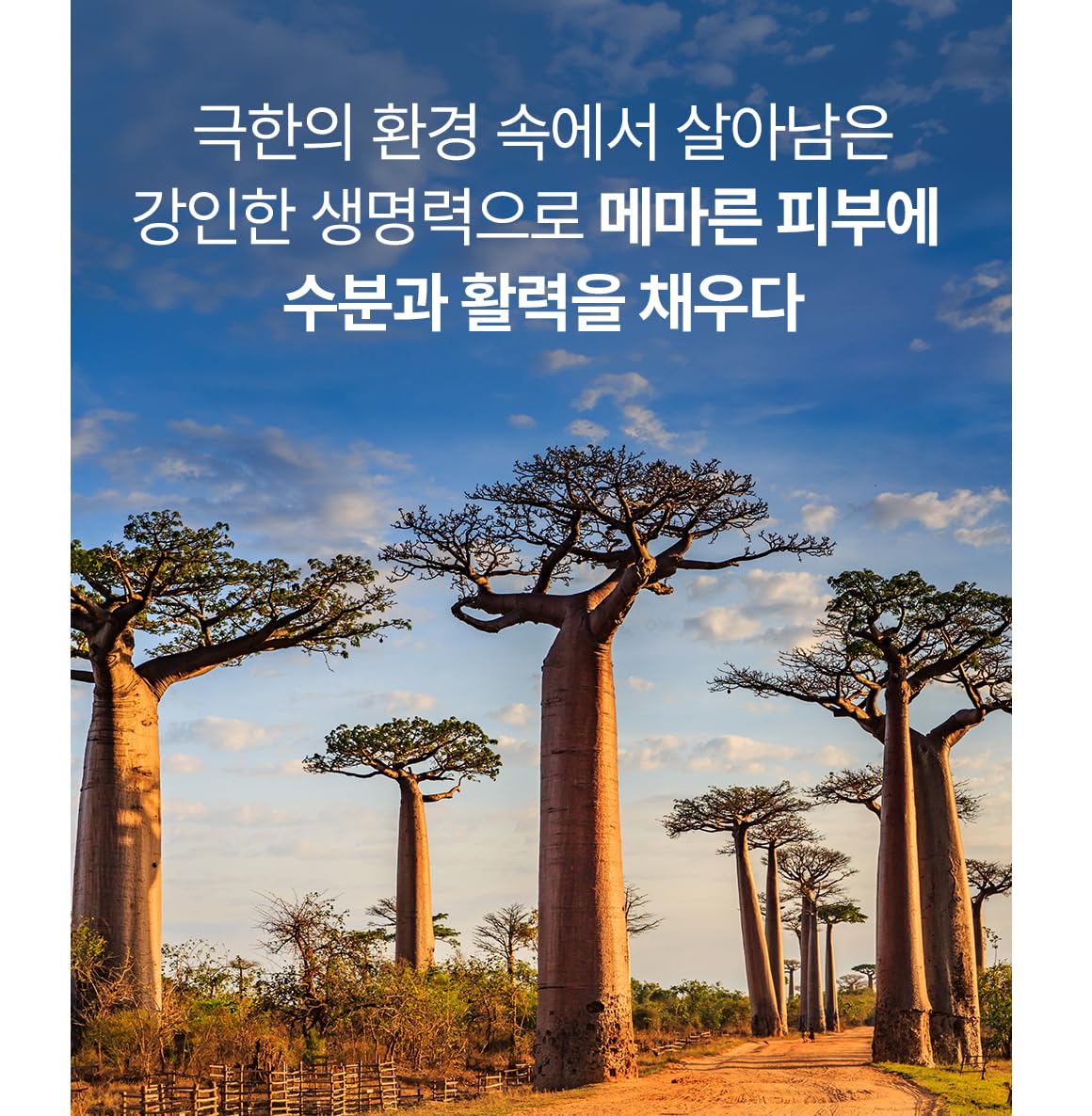 Nature Republic Africa Bird Homme All in One Fresh Balancer - Nature Republic Official Imagery - 7