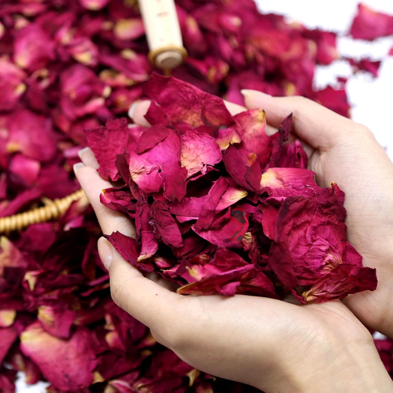 Biodegradable red rose petals wedding confetti with over 300 dried flower pieces in a cup, ideal for romantic celebrations.