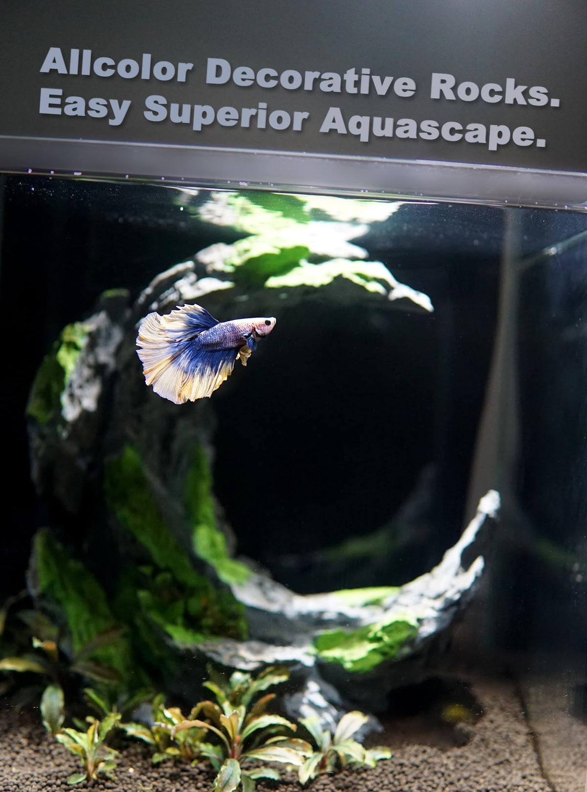 Aquarium Rock Decor Moon Valley Aquascape for 10 Gallon - Allcolor Official Imagery - 4