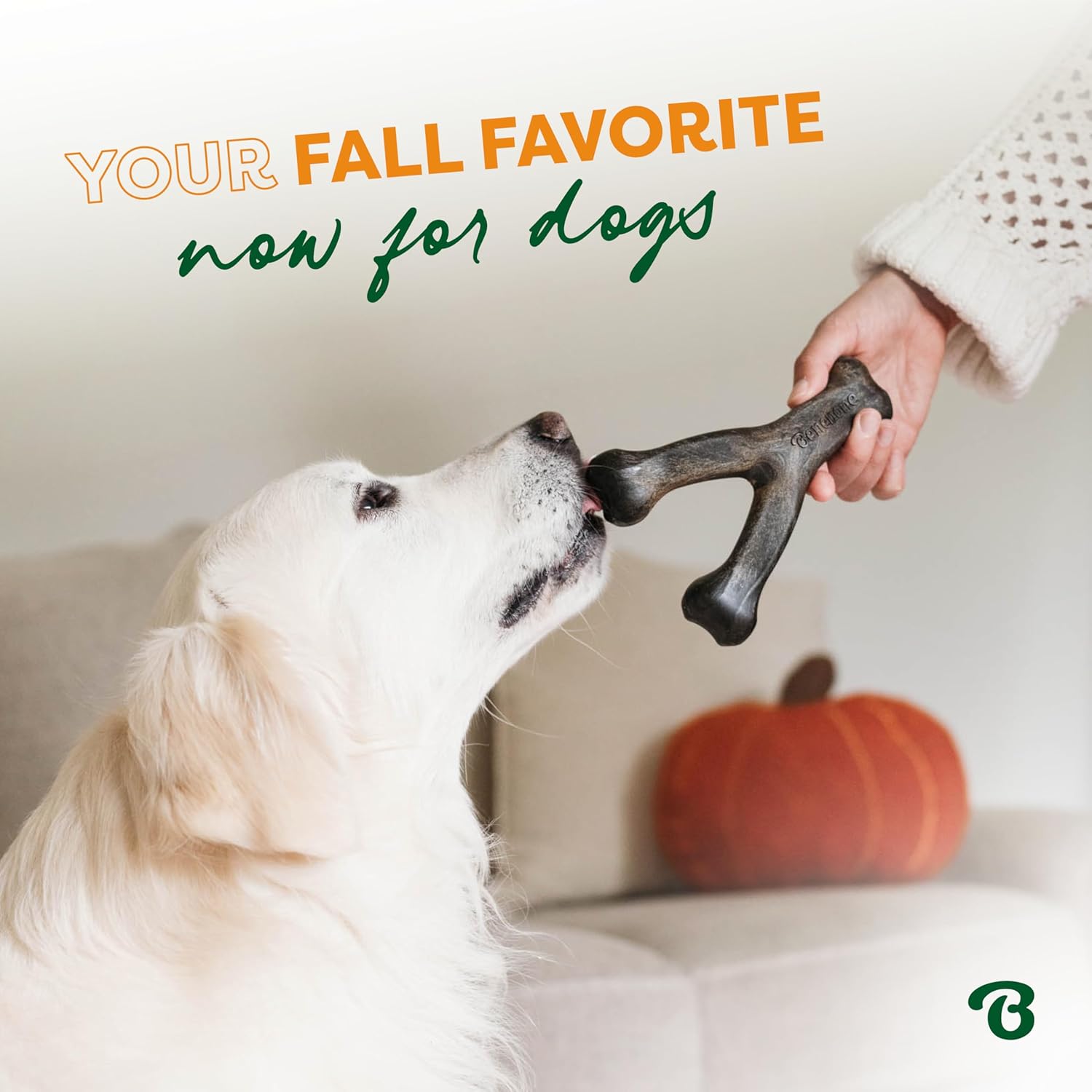 Benebone Pumpkin Spice Wishbone dog chew toy, durable and limited edition flavor, made for strong chewing dogs.