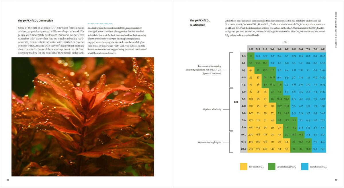 Sunken Gardens A Step by Step Guide to Planting Freshwater - by               
		   Karen A. Randall     
       			(Author) 
       	             Format: Paperback Official Imagery - 7
