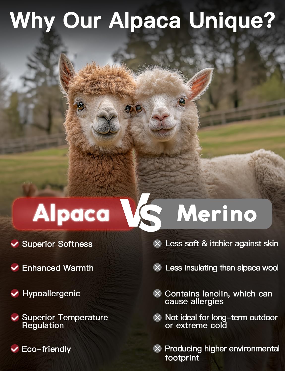 Juclise Alpaca Wool Crew Socks Men and Women Thick Thermal - Juclise Official Imagery - 4