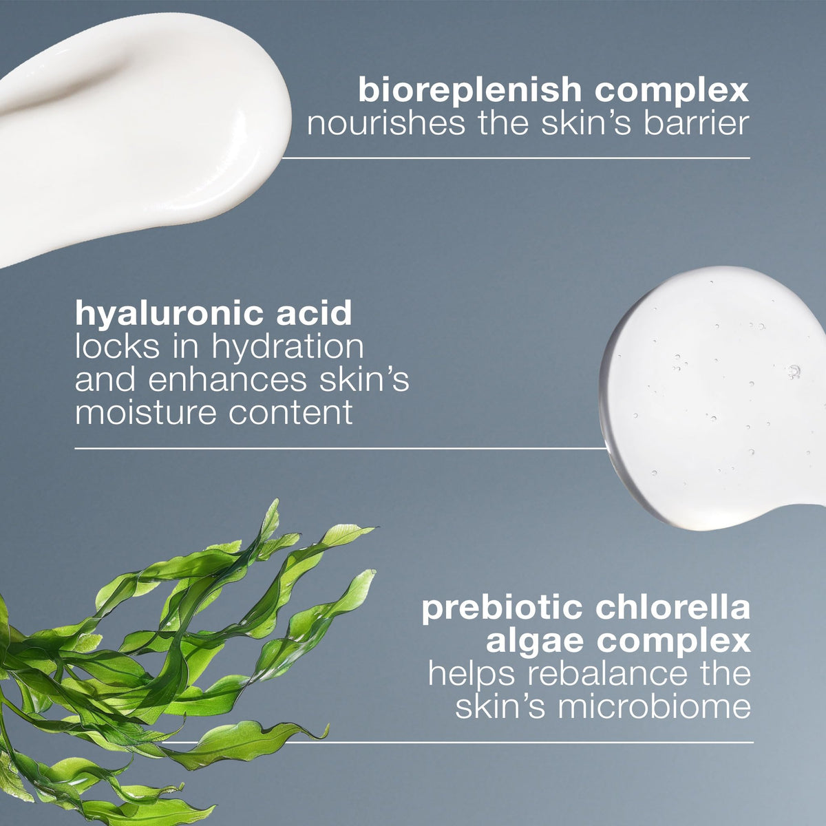 Dermalogica Intensive Moisture Balance Face Moisturizer - Premium Selection Official Imagery - 7