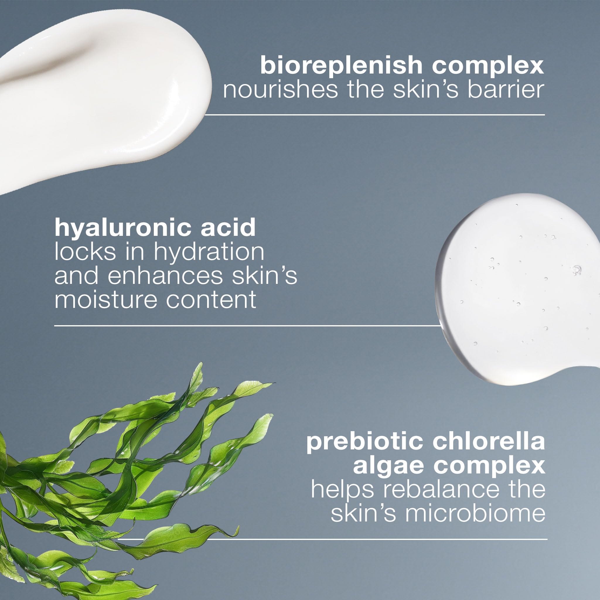 Dermalogica Intensive Moisture Balance Face Moisturizer - Premium Selection Official Imagery - 7