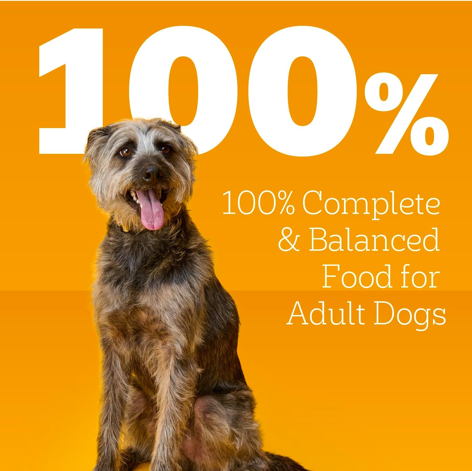 Pedigree Wet Dog Food, Choice Cuts Adult Canned Dog