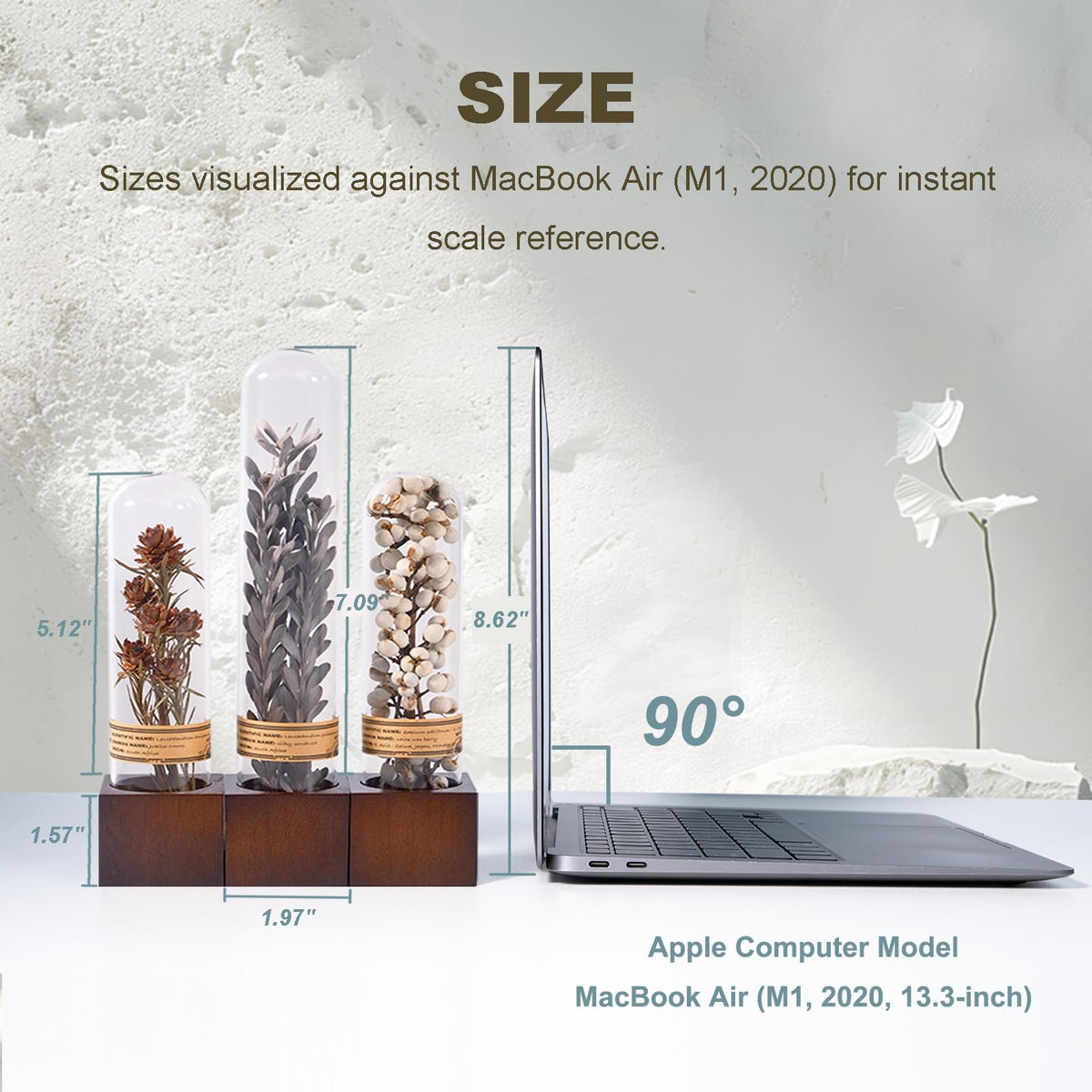 3Pcs Dried Flower Decor Knick Knacks for Shelves Cool Stuff - SKOGSKUNST Official Imagery - 4