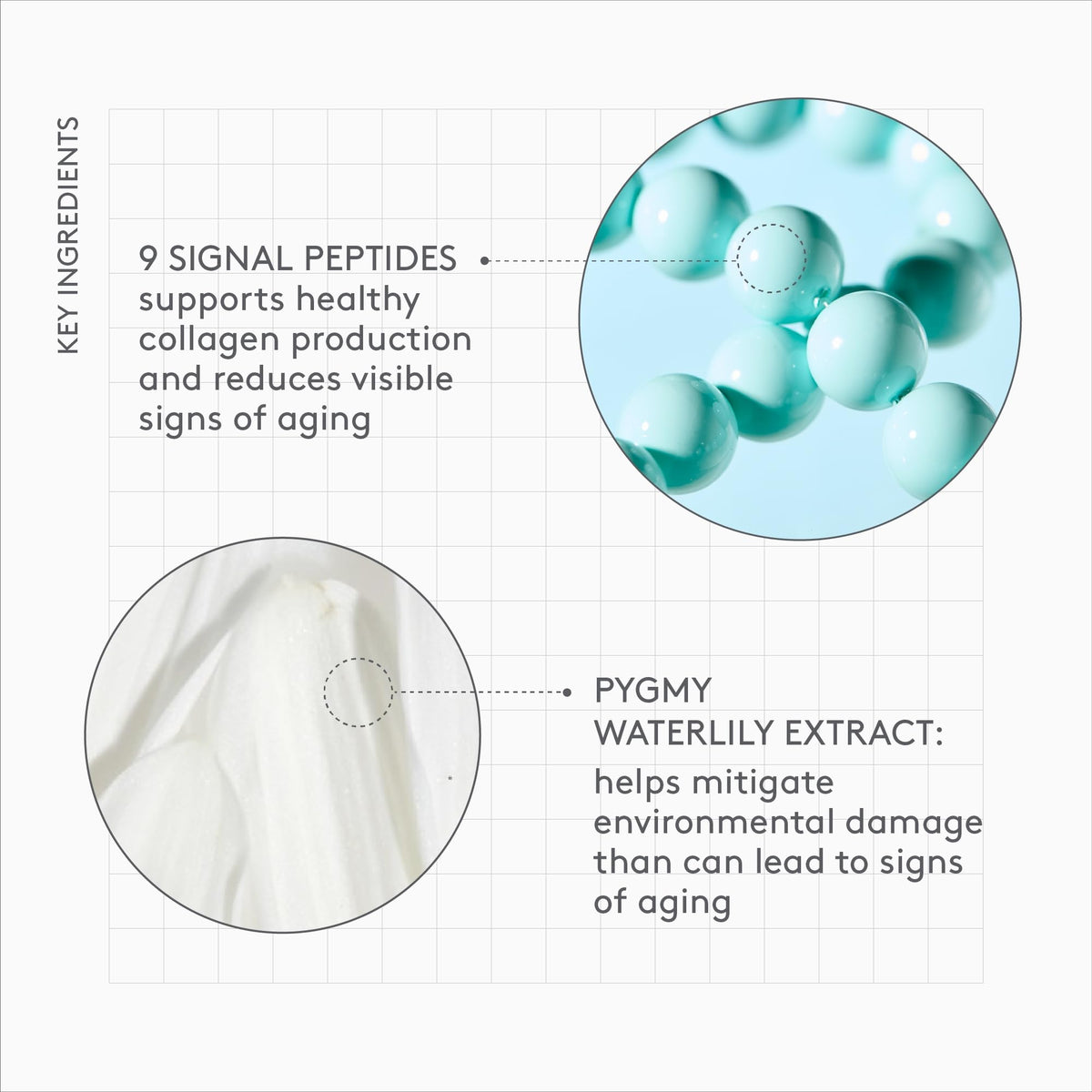 Drunk Elephant Protini Polypeptide Cream - Premium Selection Official Imagery - 6