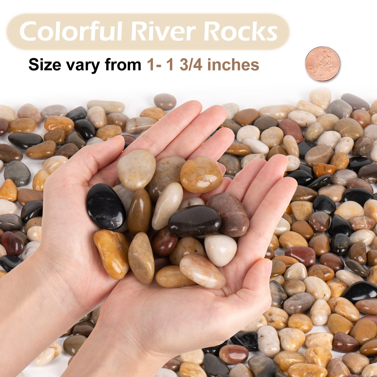 GASPRO 15lb Mixed Color Landscaping Pebbles River Rocks - GASPRO Official Imagery - 6