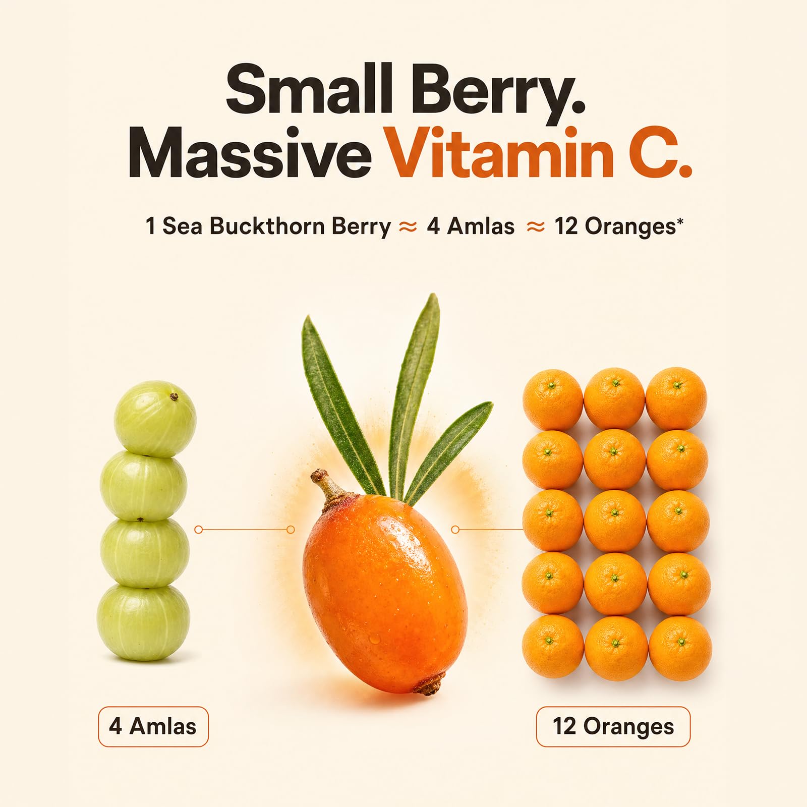 Himalayan Sea Buckthorn Juice Omega 7 Liquid Superfruit - Daily All Day Official Product Imagery - 4