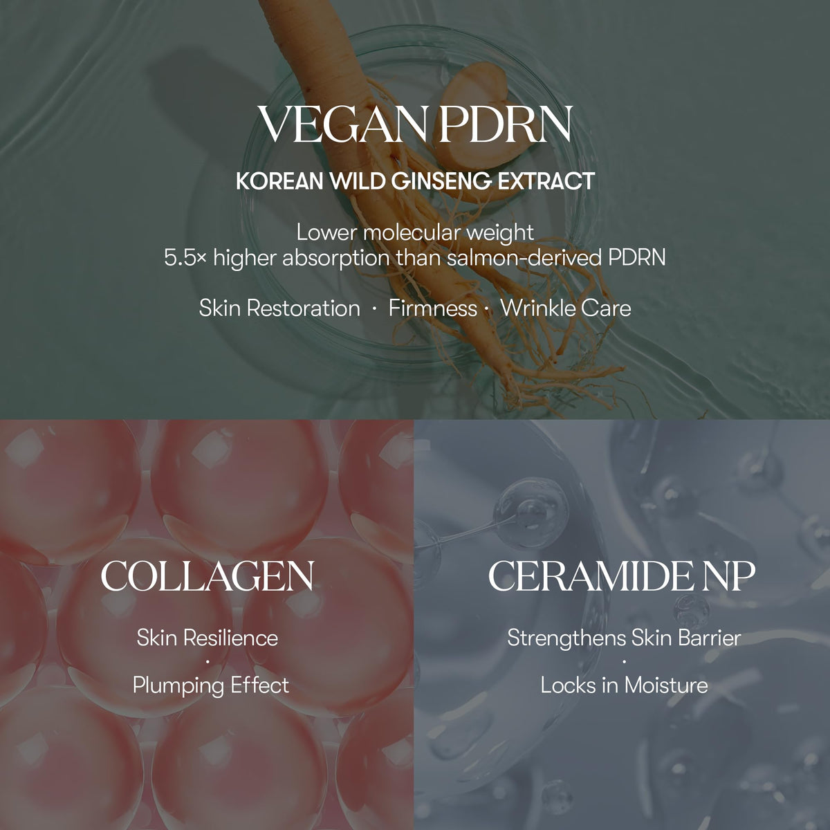 VT COSMETICS PDRN Hydration Duo - VT COSMETICS Official Imagery - 3