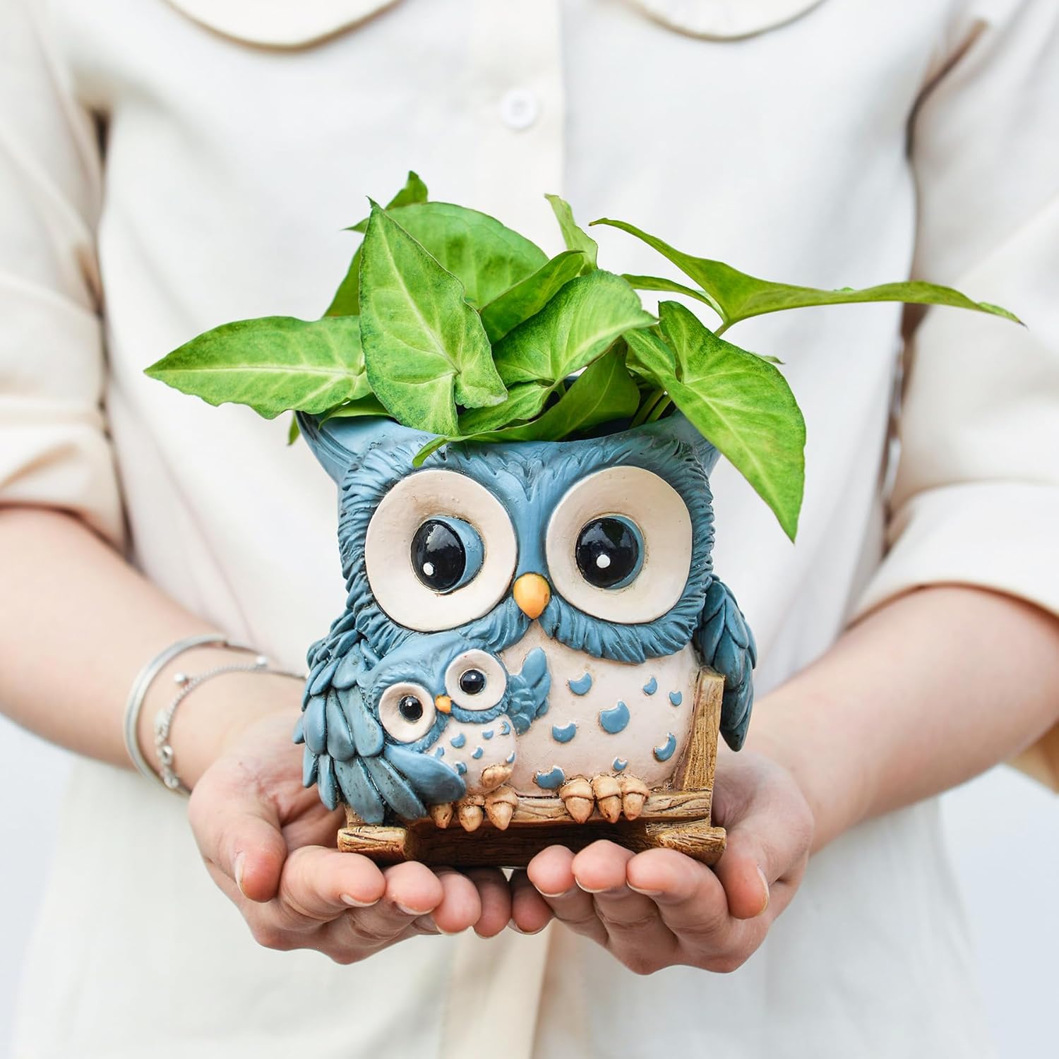 Saysmile unique owl-shaped indoor plant pot with drainage for small succulents, featuring a cute and decorative design.