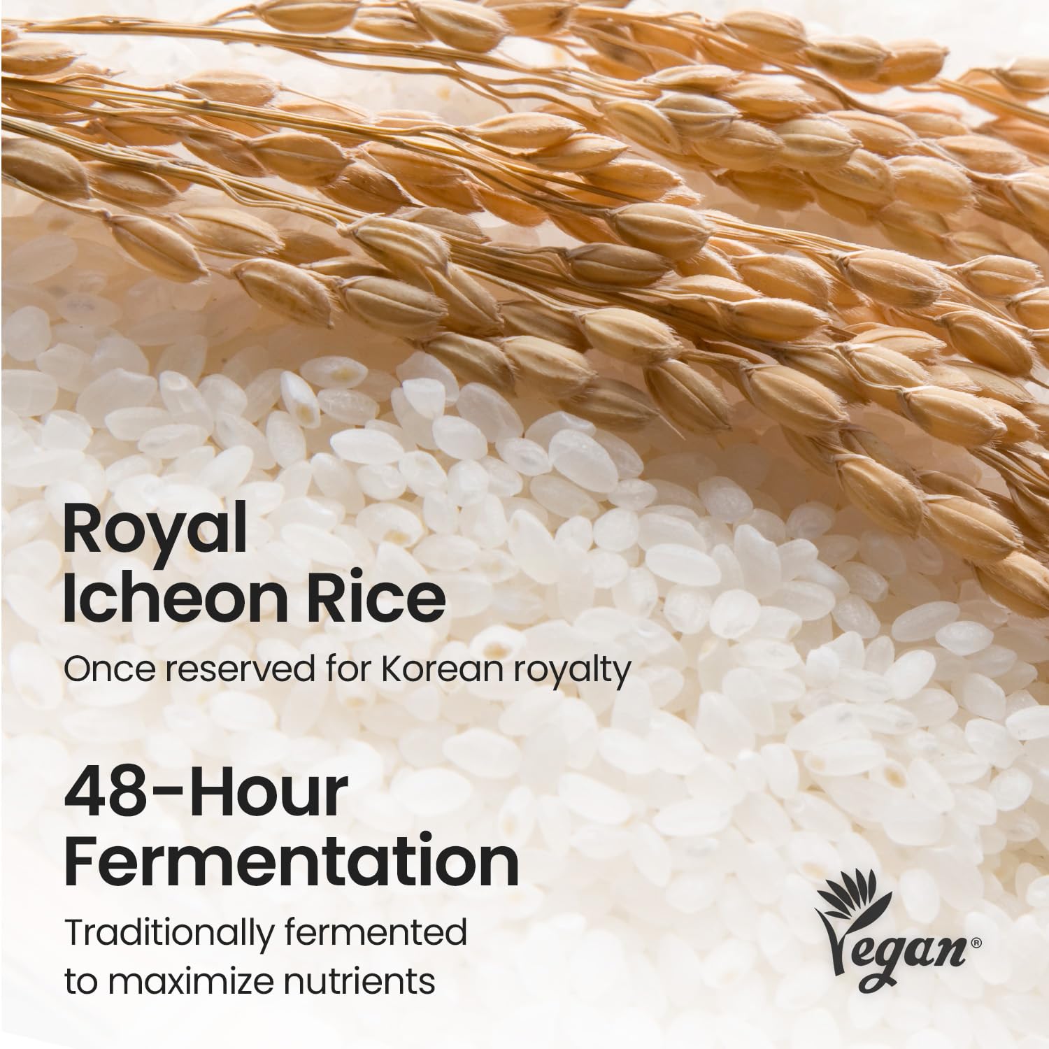 SKINFOOD Rice Brightening Cream, Korean Face Moisturizer with 48 Hours Fermented Rice Water, Korean Skin Care Rice Moisturizer for Natural Glow Glass Skin, Nourishing, Vegan, 60ml/2fl.oz. - SKINFOOD 1957 Official Product View 7